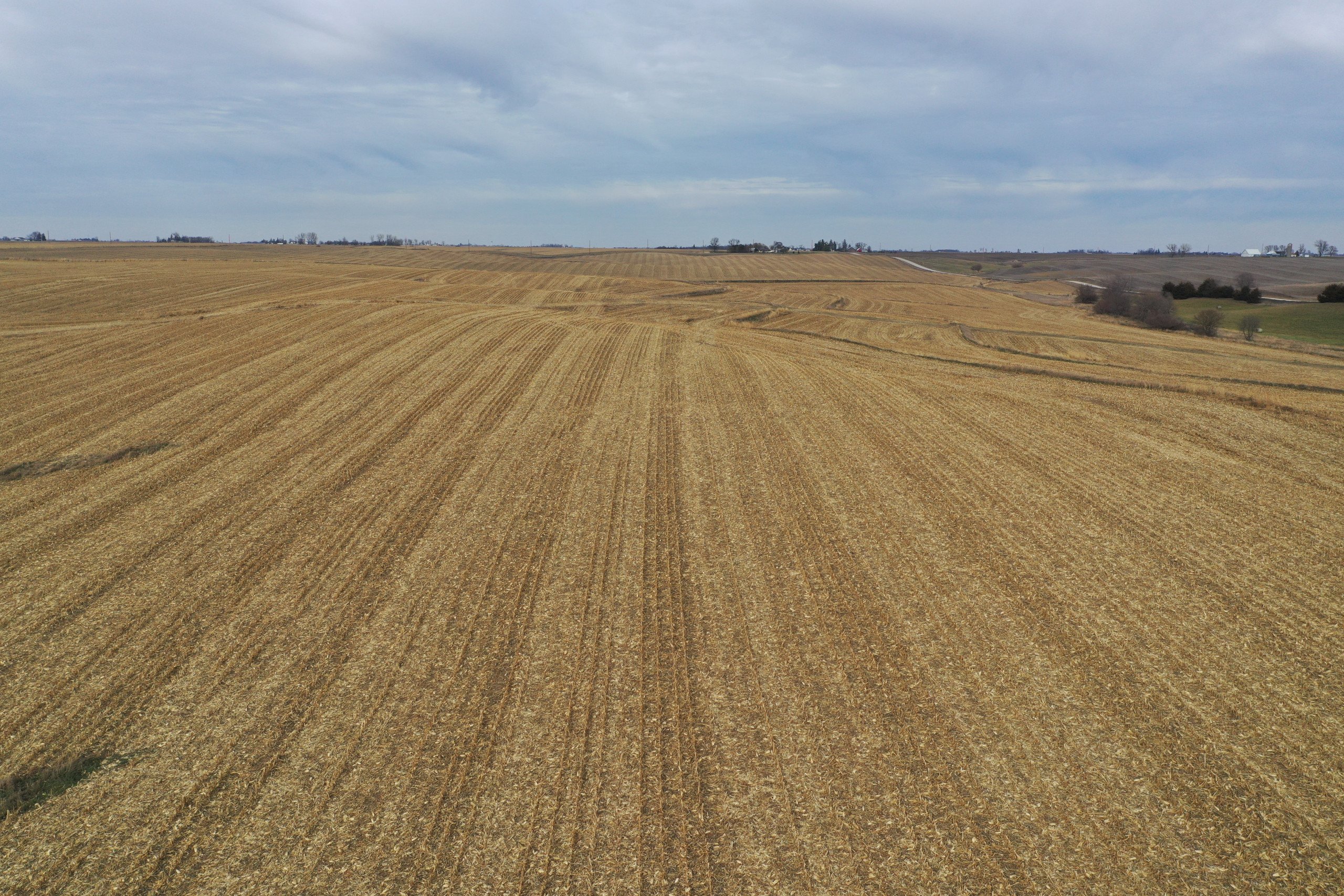 Marshall County Iowa Farmland For Sale 