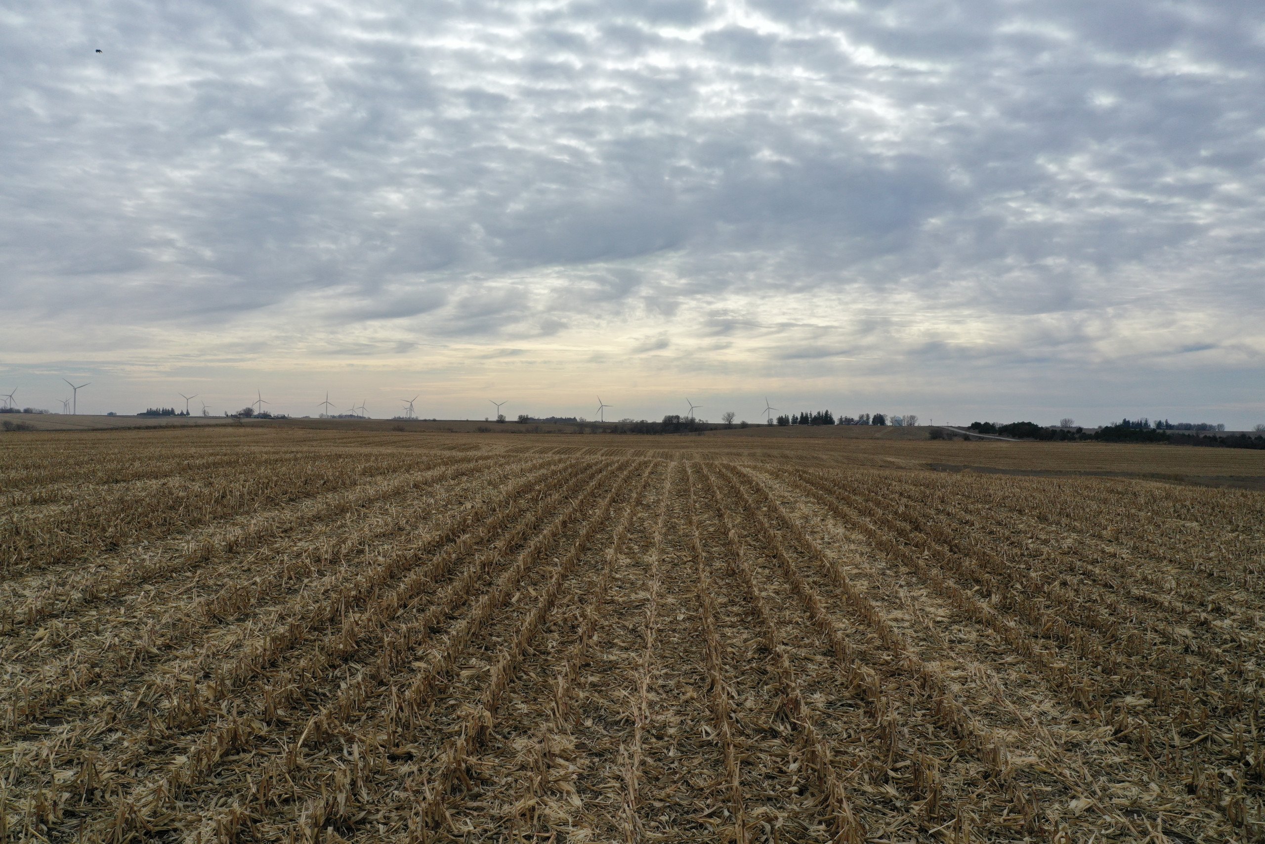 Marshall County Iowa Farmland For Sale 