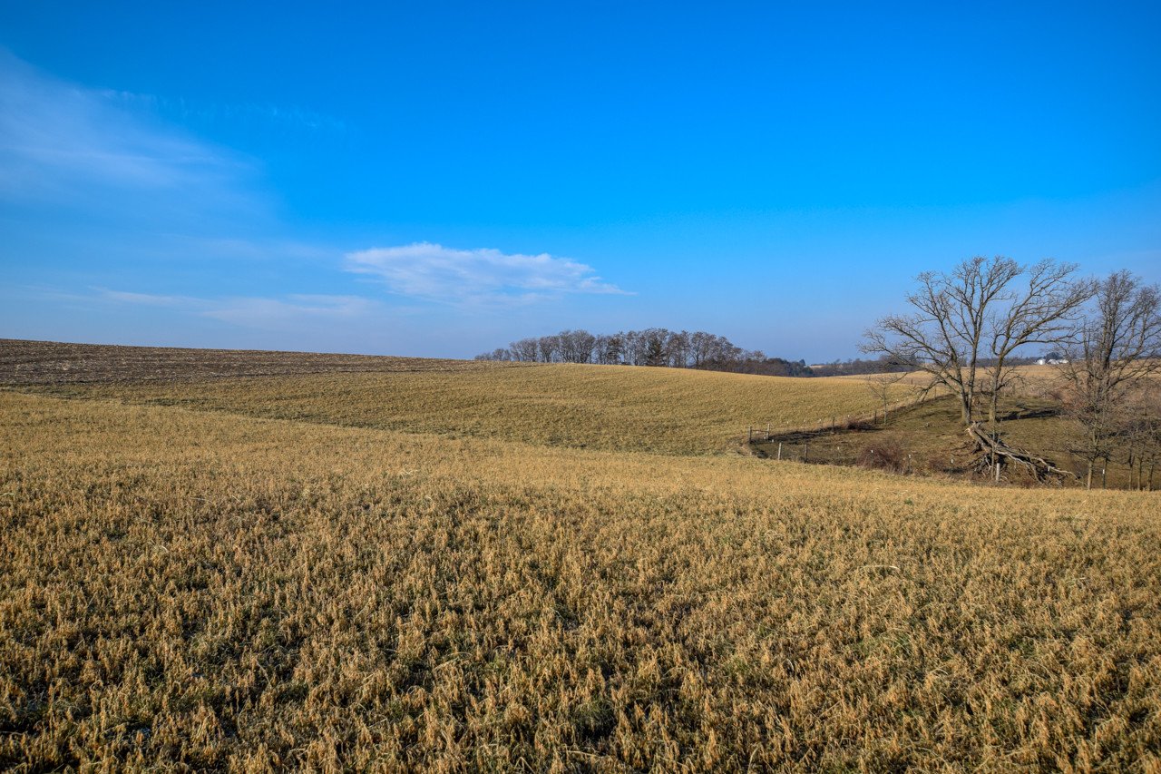 land-iowa-county-wisconsin-130-acres-listing-number-15958-DSC_0197-1.jpg