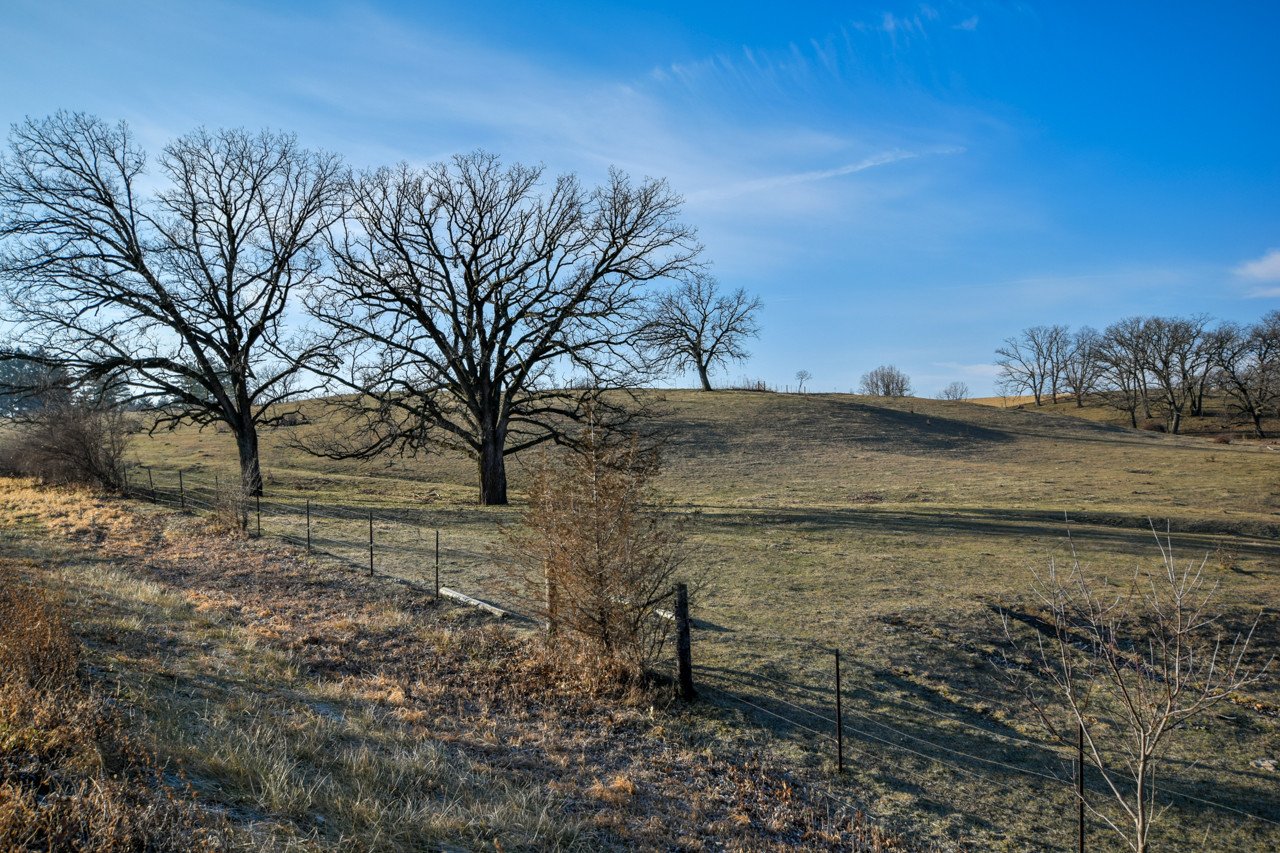 land-iowa-county-wisconsin-130-acres-listing-number-15958-DSC_0198-2.jpg