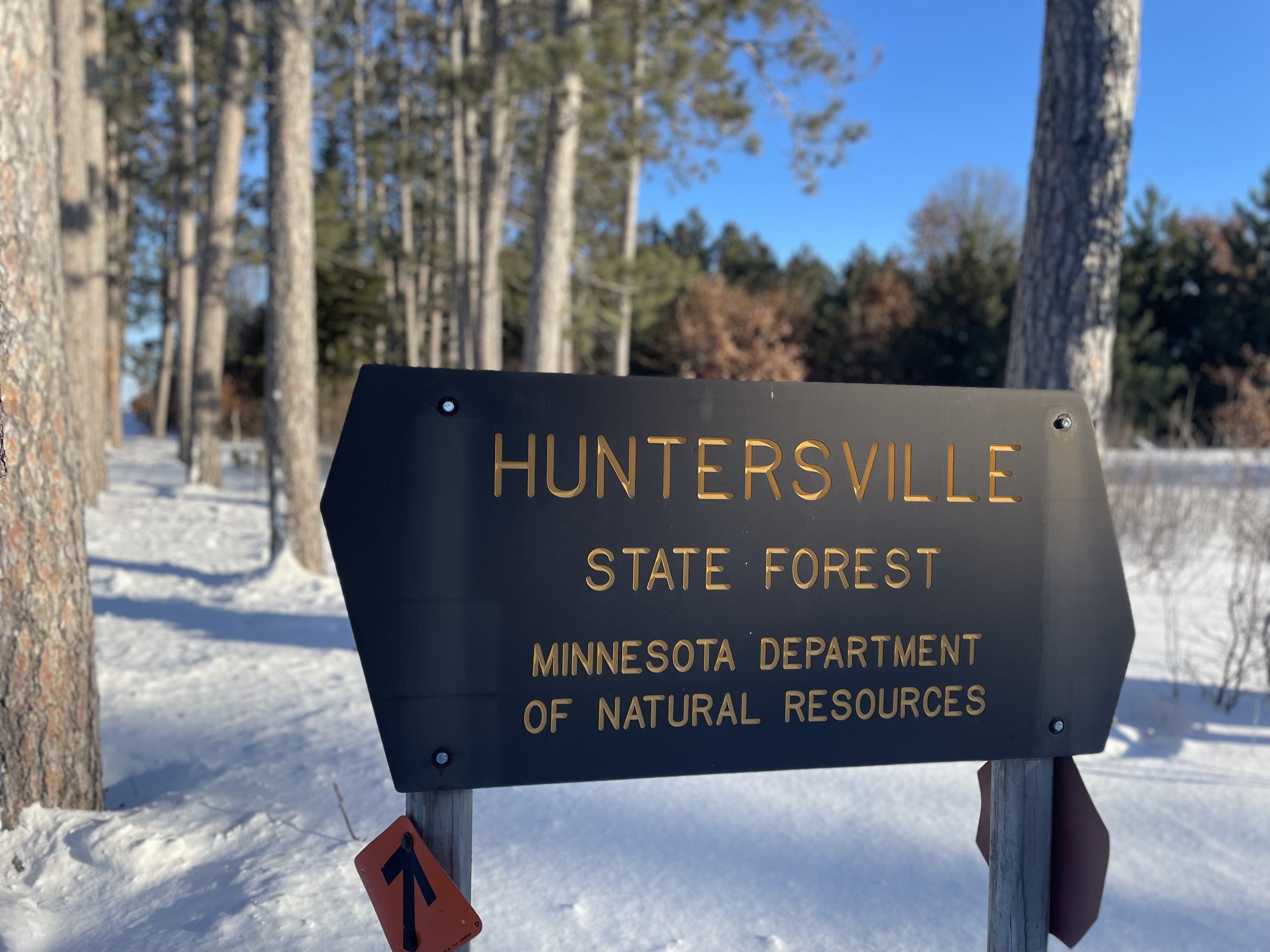 Huntersville State Forest 