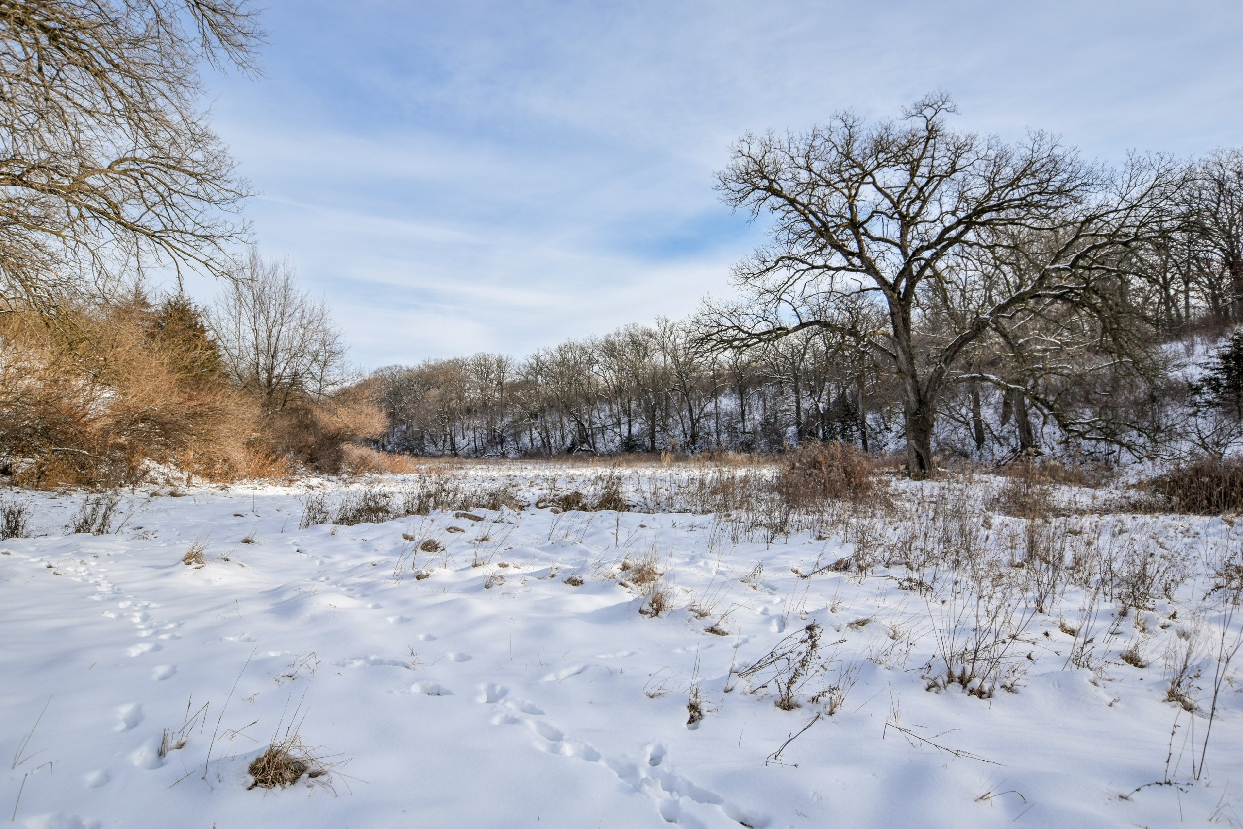 land-iowa-county-wisconsin-80-acres-listing-number-15974-DSC_0011-3.jpg