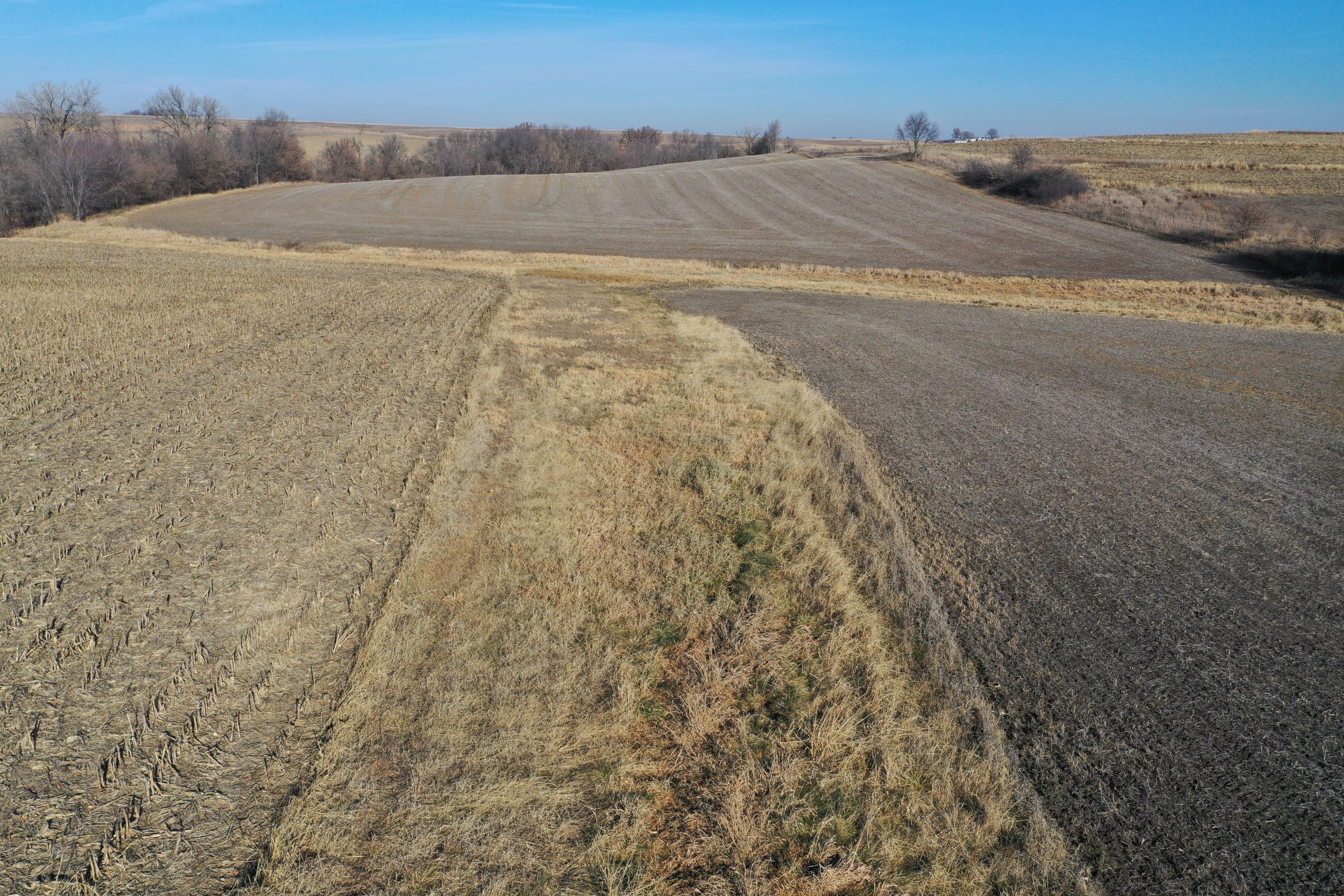 Guthrie County Iowa Farmland for Sale