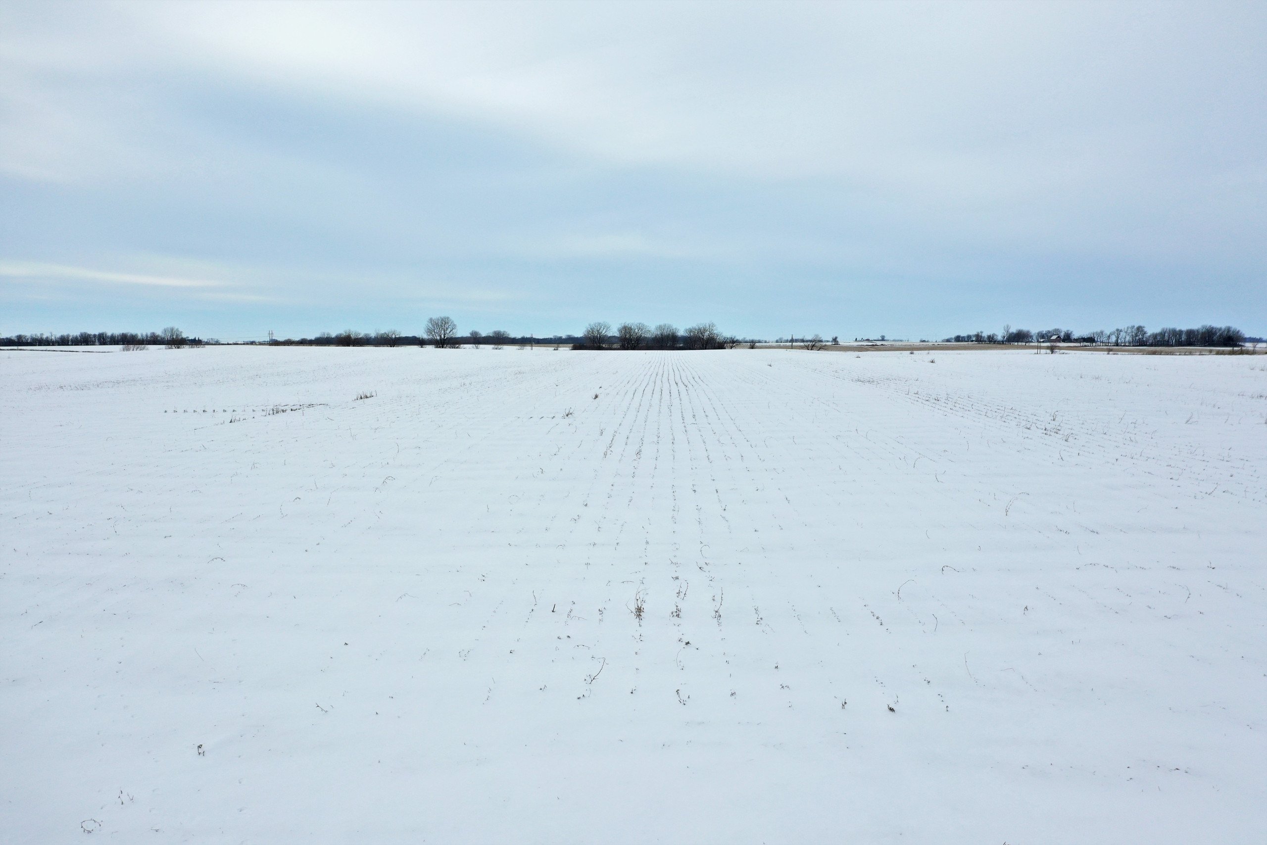 auctions-land-fayette-county-iowa-80-acres-listing-number-15978-10-0.jpg