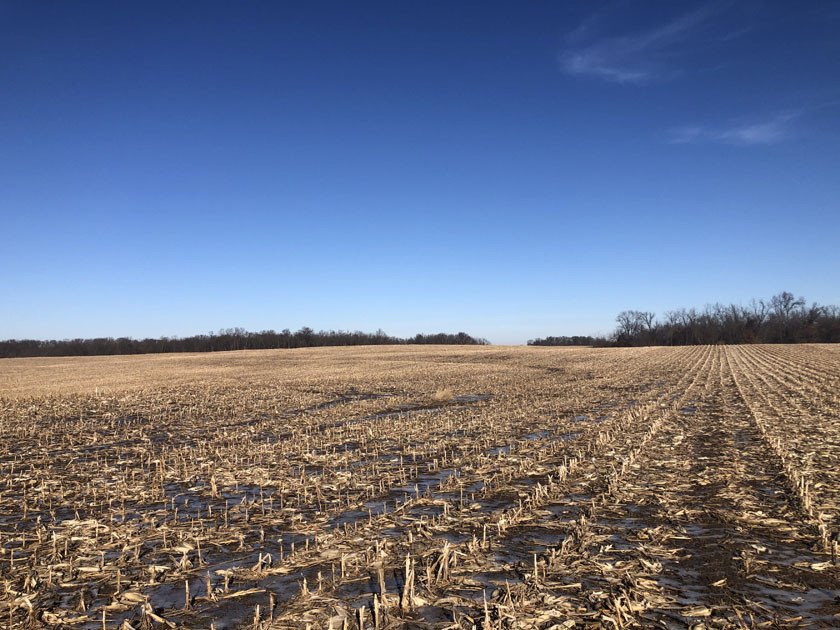 auctions-monroe-county-missouri-224-acres-listing-number-15980-IMG_0983 (1)-2.jpg