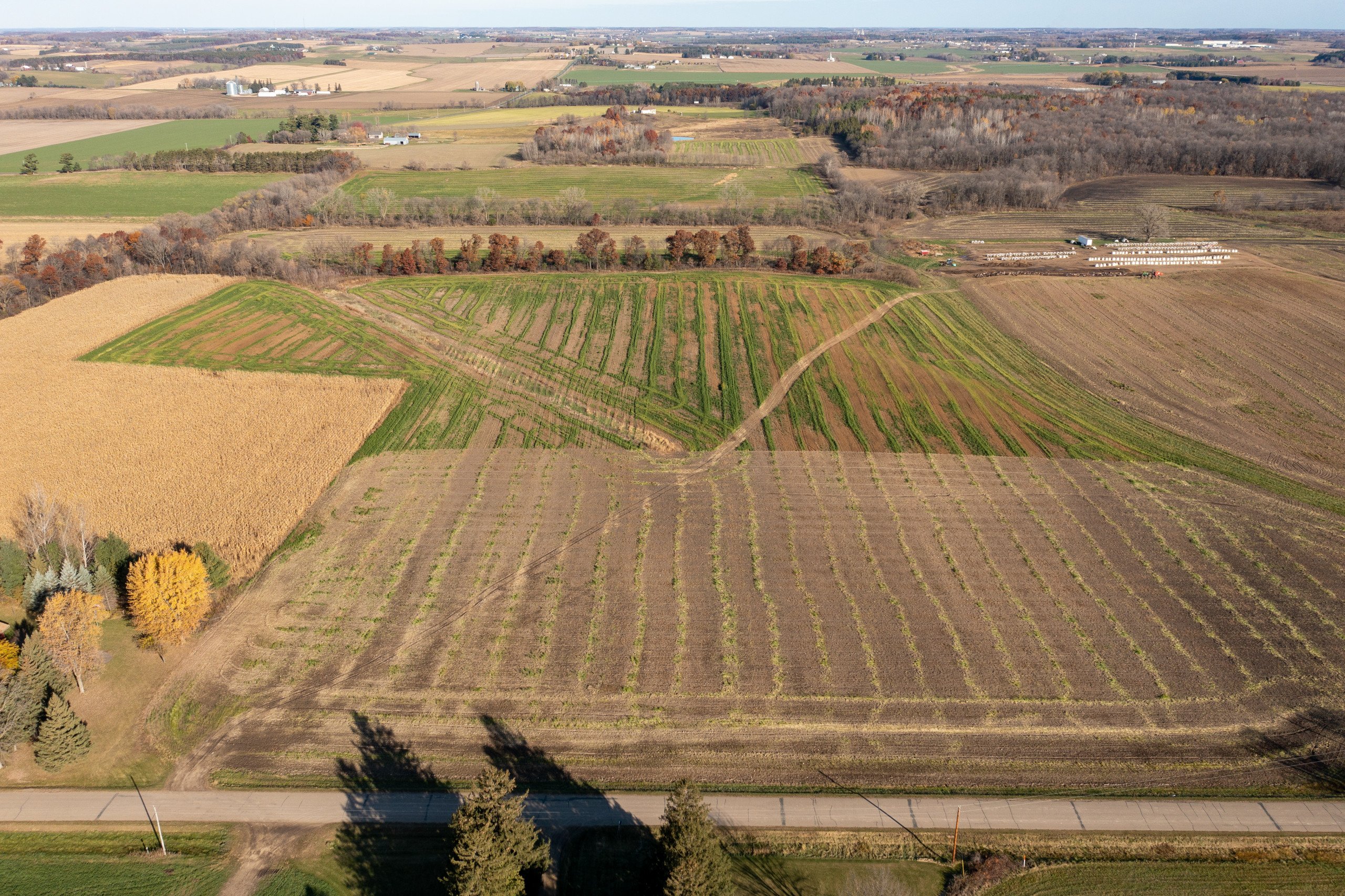 1-1-DJI_0322-1.jpg