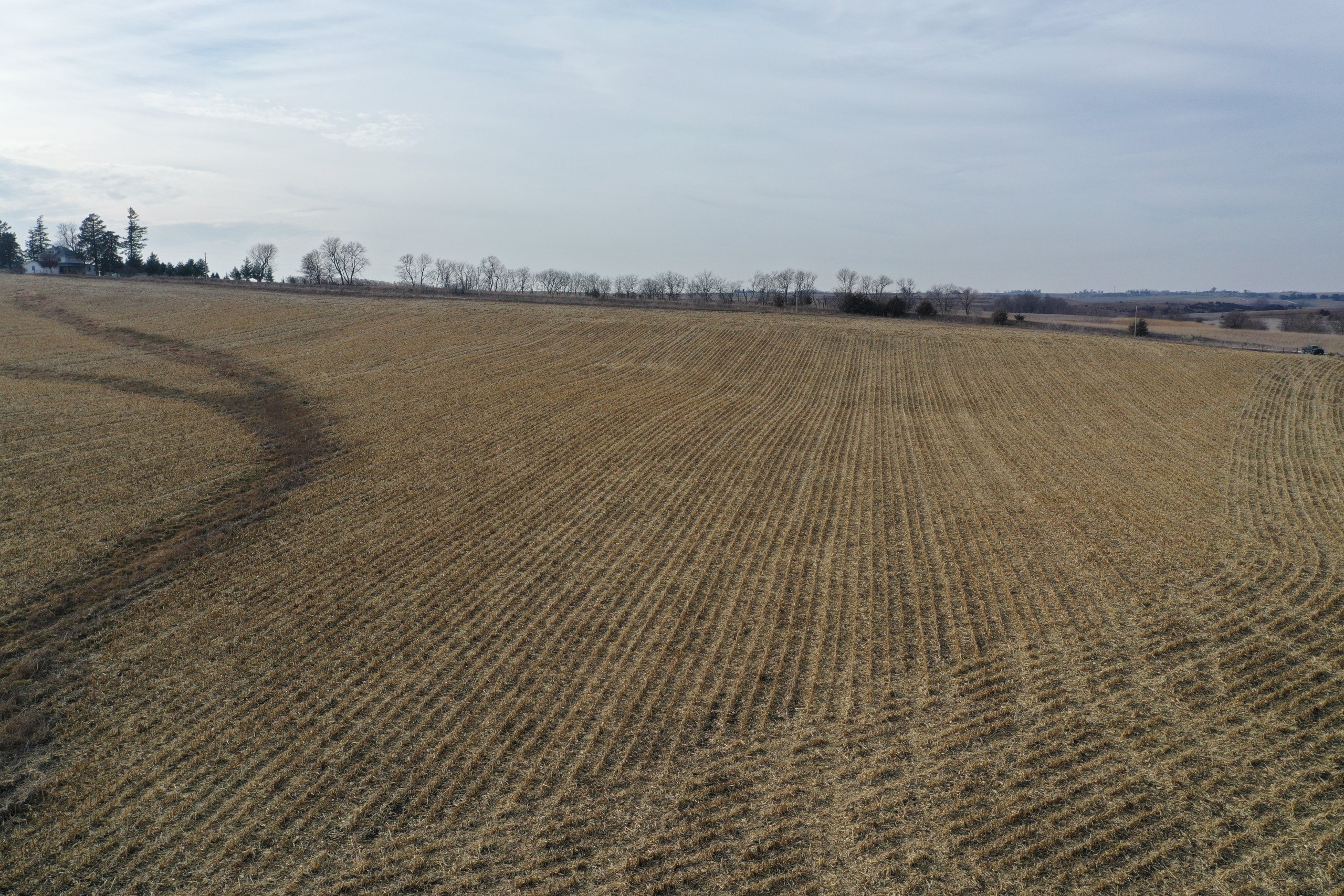 Adair County Iowa Farmland For Sale