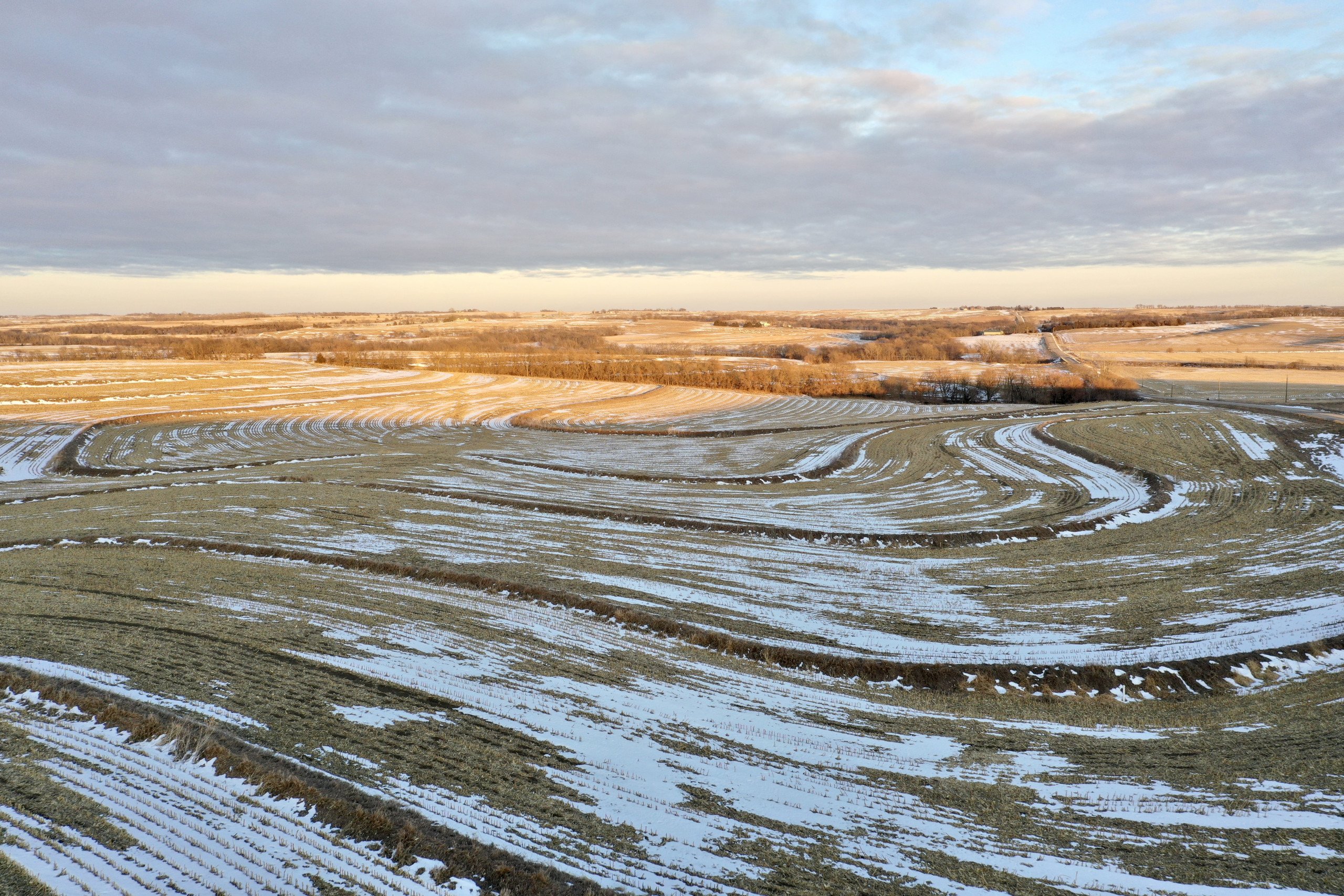 auctions-land-page-county-iowa-77-acres-listing-number-16010-DJI_0156-1.jpg