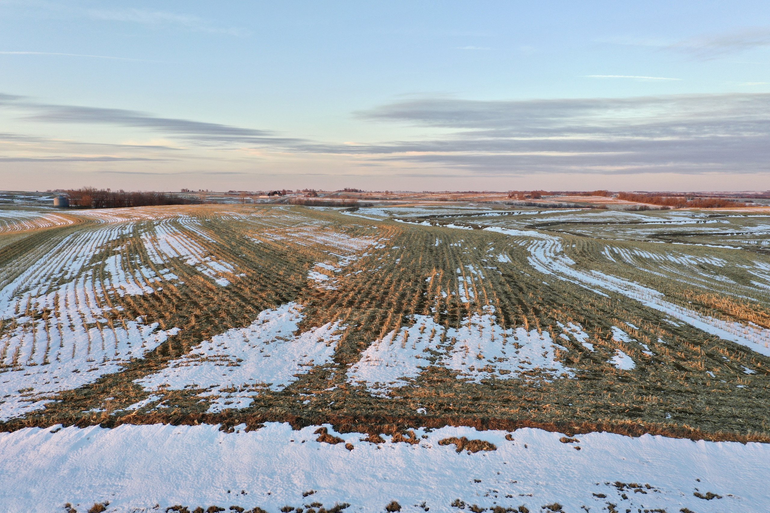 auctions-land-page-county-iowa-77-acres-listing-number-16010-DJI_0183-8.jpg