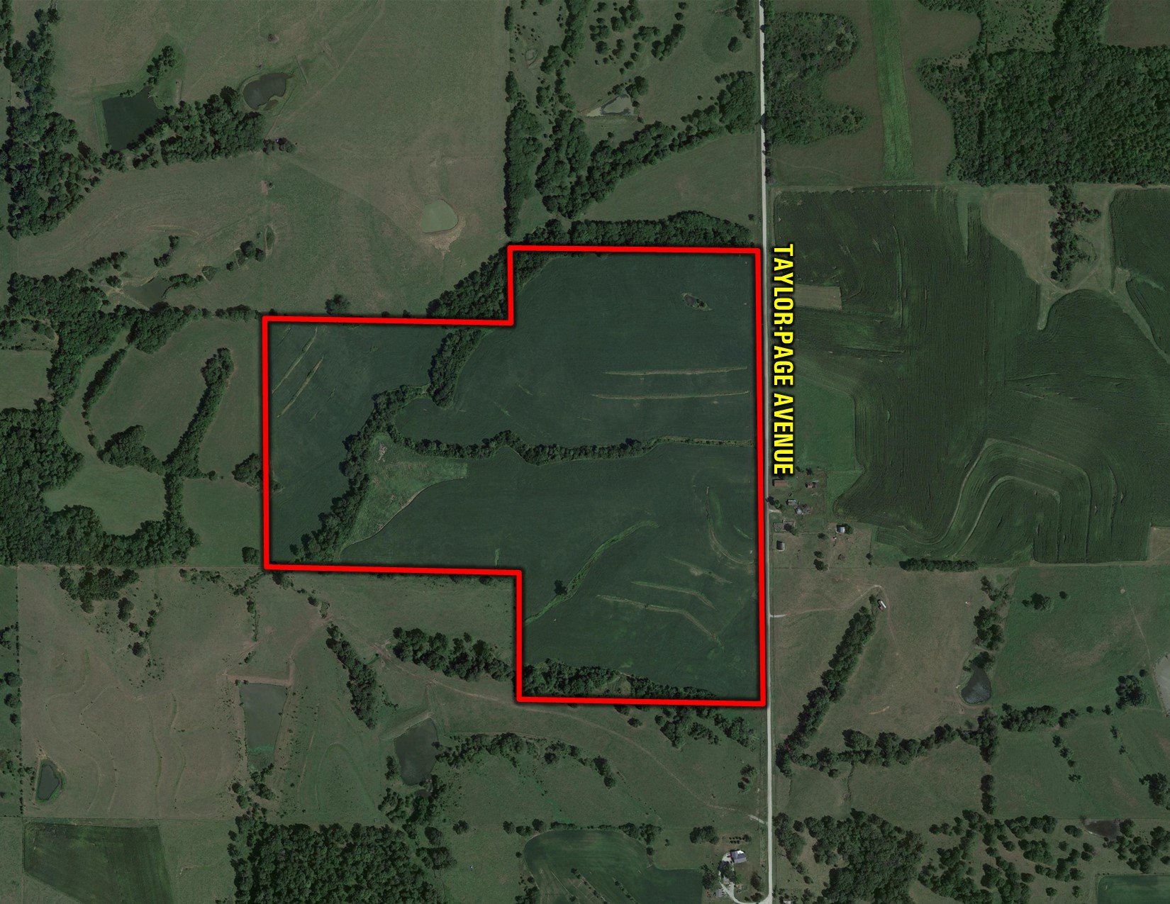 land-page-county-iowa-112-acres-listing-number-16013-Google Close (28)-0.jpg