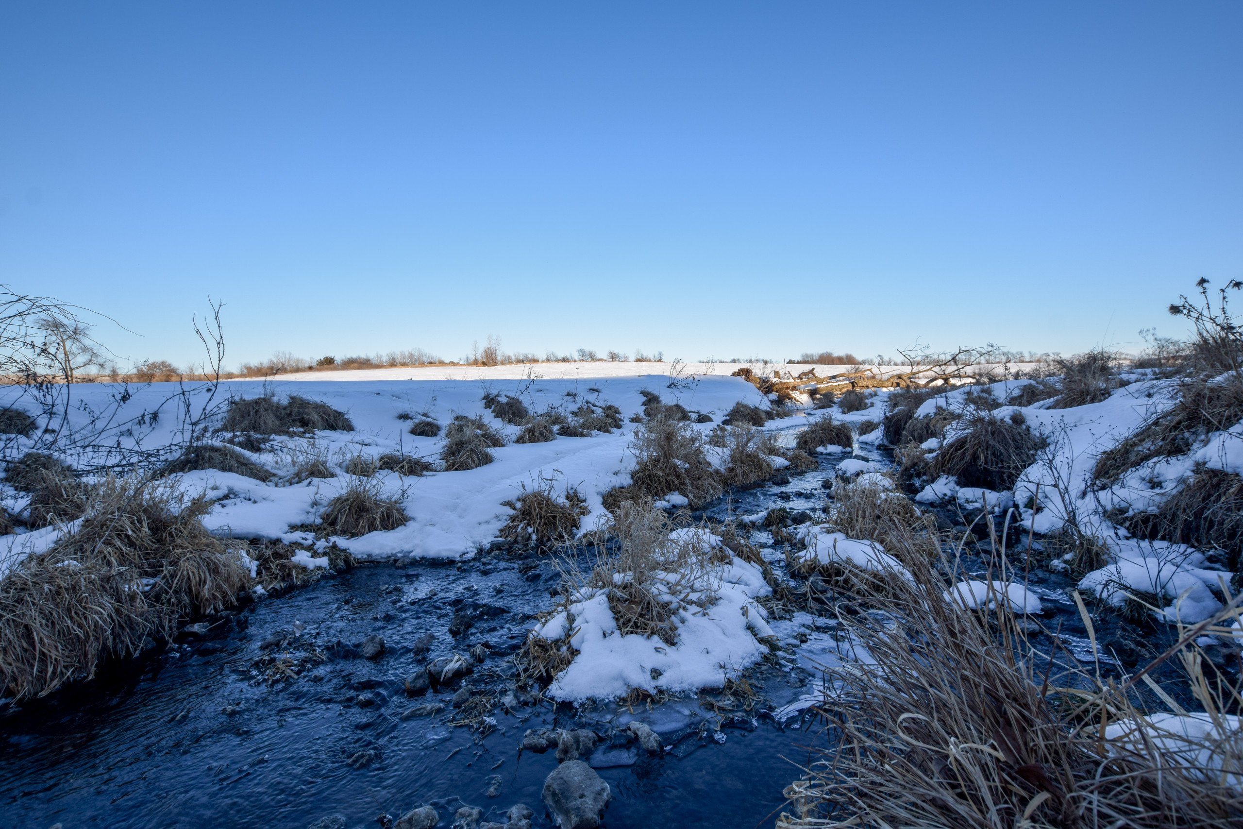 auctions-land-lafayette-county-wisconsin-232-acres-listing-number-16022-DSC_0159-4.jpg