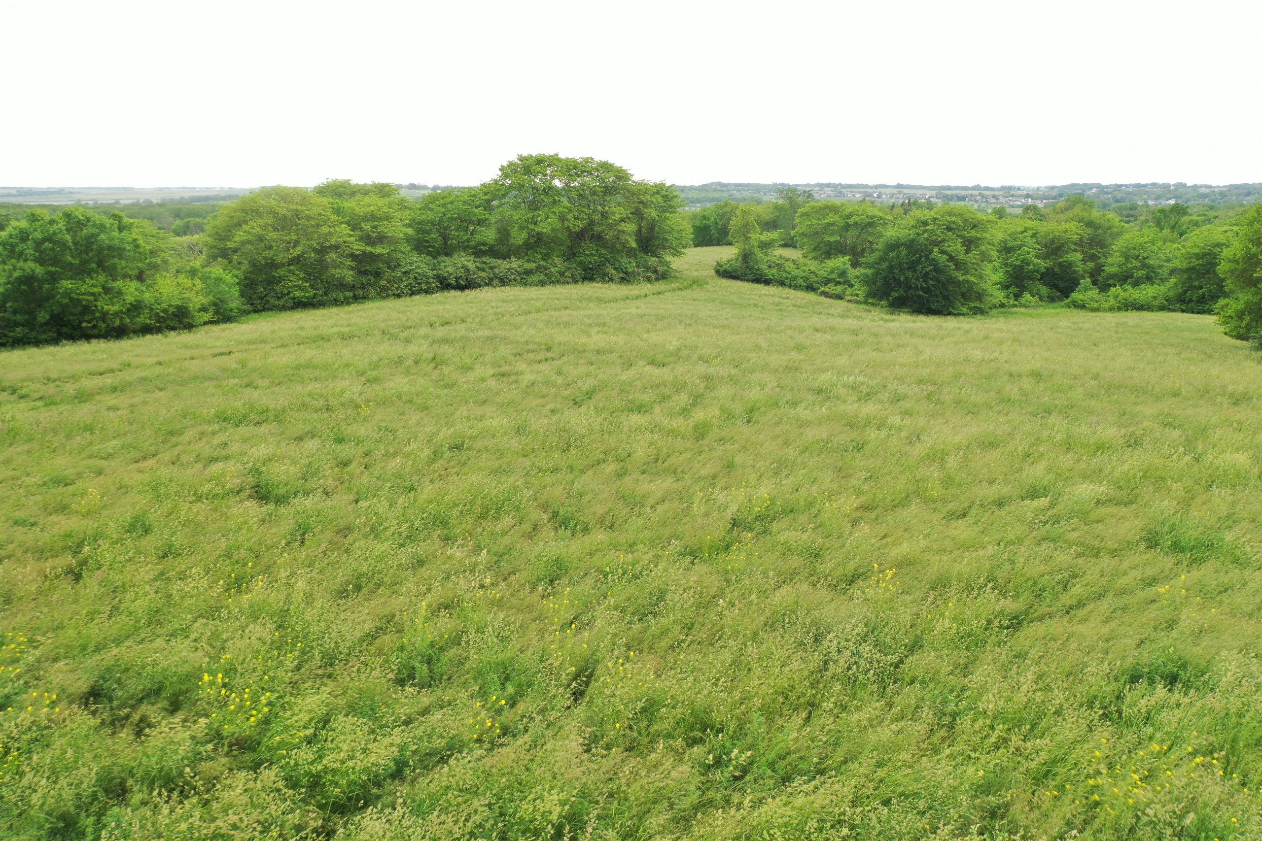 Warren County, Iowa Farmland For Sale