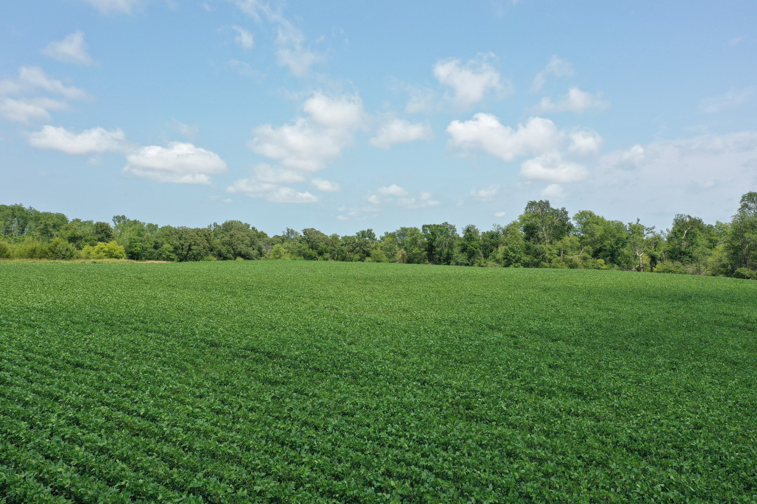 Building Site for Sale In Woodward Iowa 