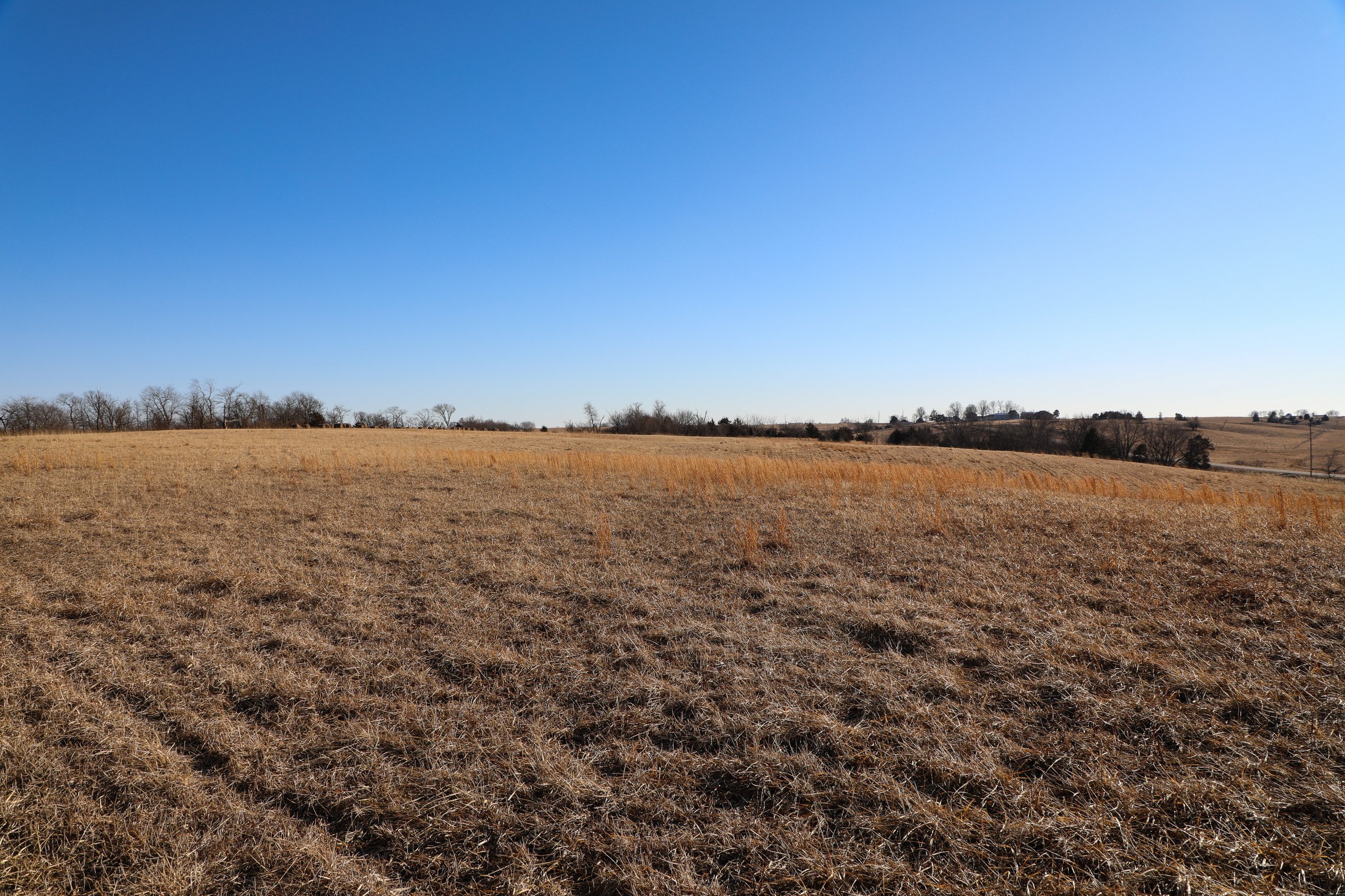 auctions-land-wayne-county-iowa-132-acres-listing-number-16049-Wayne_County_Corydon_Iowa_Land_Auction-4-3.jpg