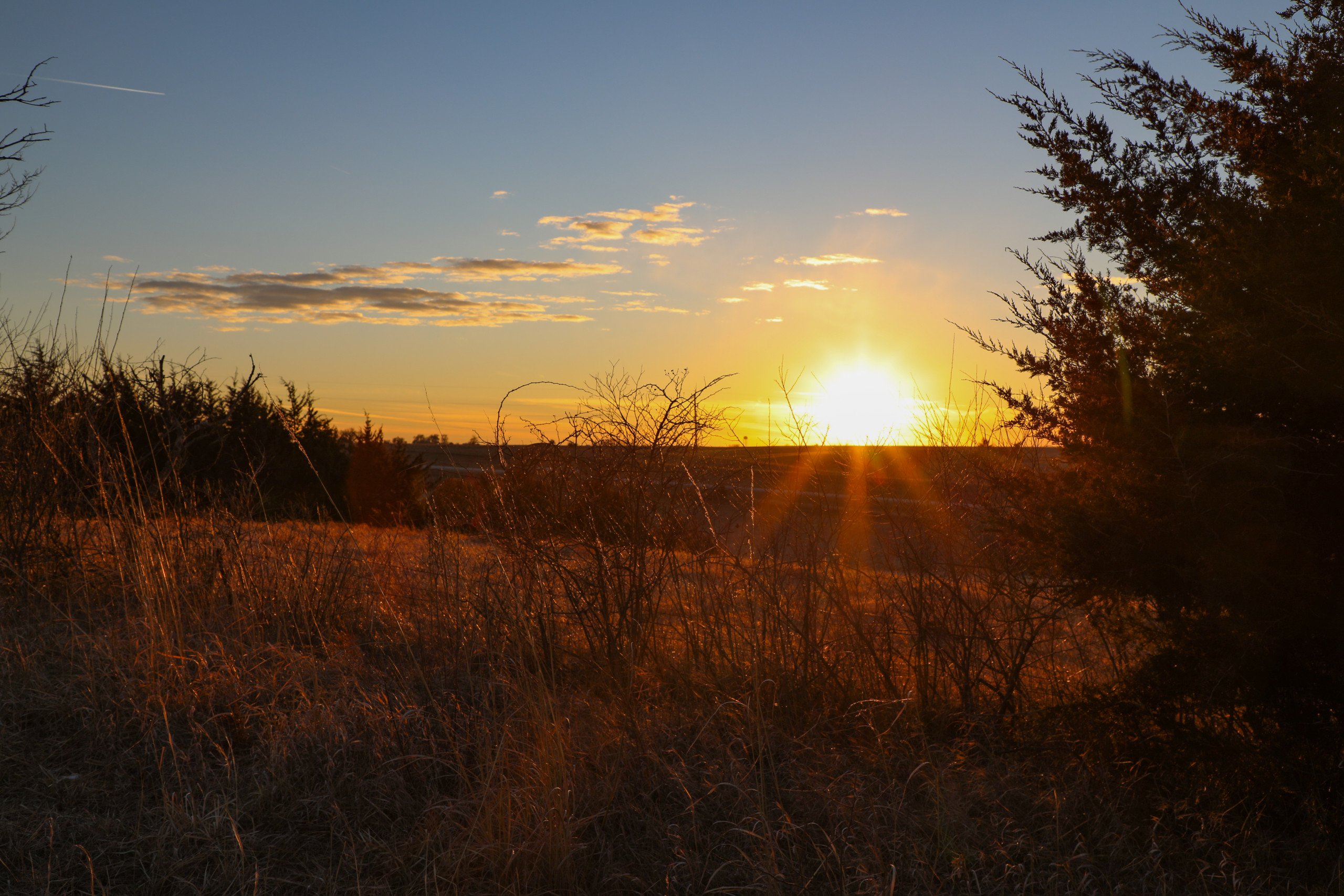 auctions-land-wayne-county-iowa-132-acres-listing-number-16049-Wayne_County_Corydon_Iowa_Land_Auction-43-1.jpg