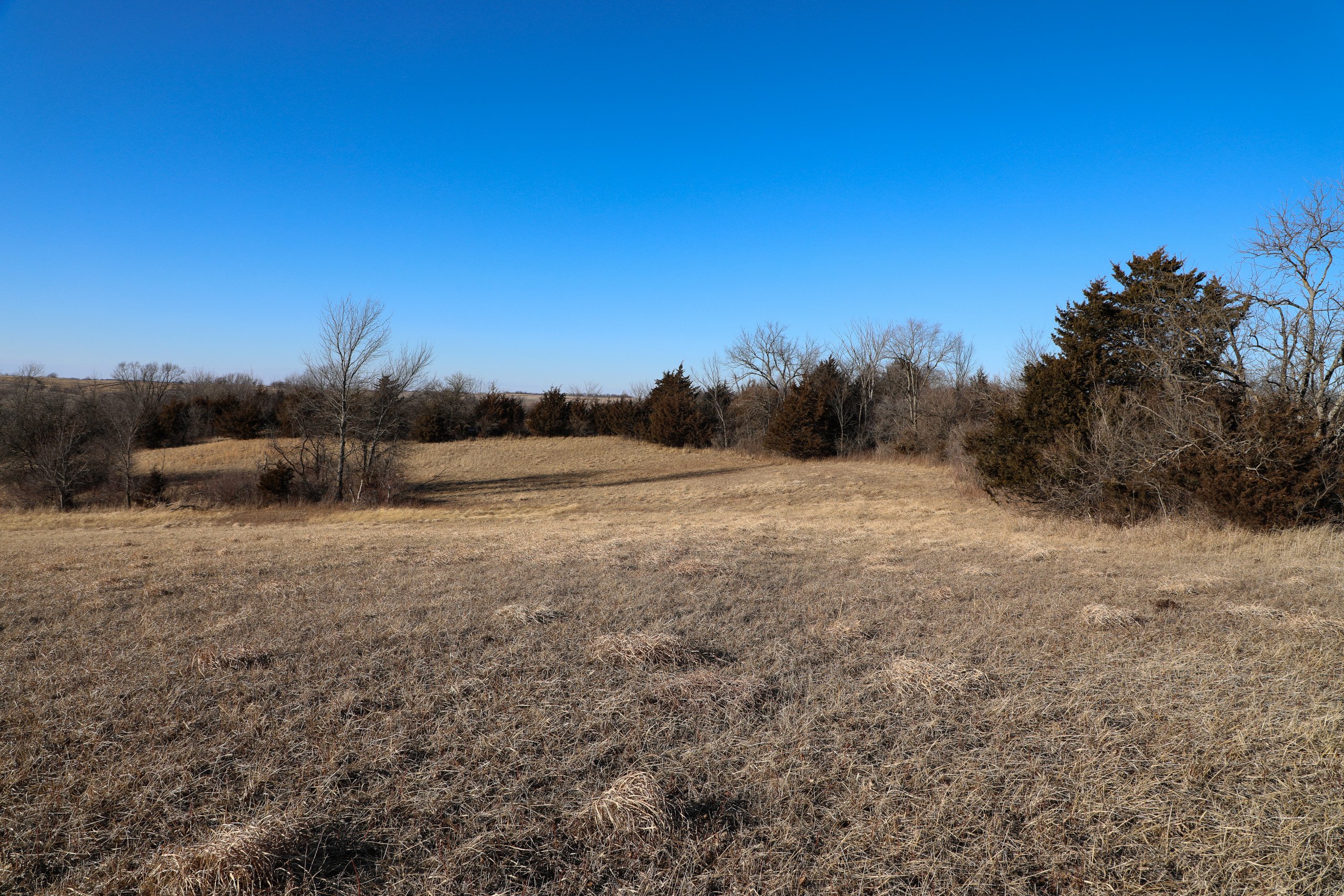 auctions-land-wayne-county-iowa-132-acres-listing-number-16049-Wayne_County_Corydon_Iowa_Land_Auction-9-2.jpg