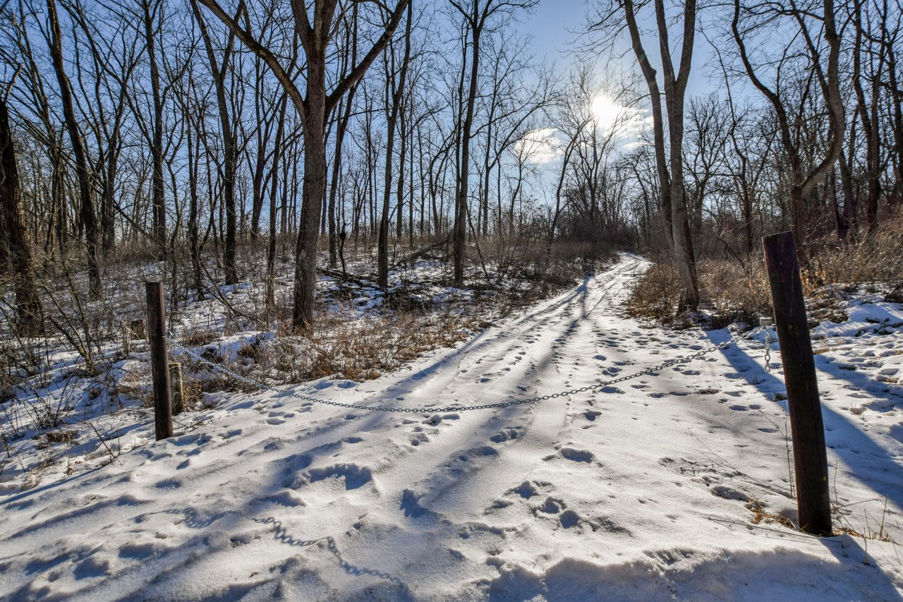 land-lafayette-county-wisconsin-46-acres-listing-number-16050-DSC_0218-4.jpg