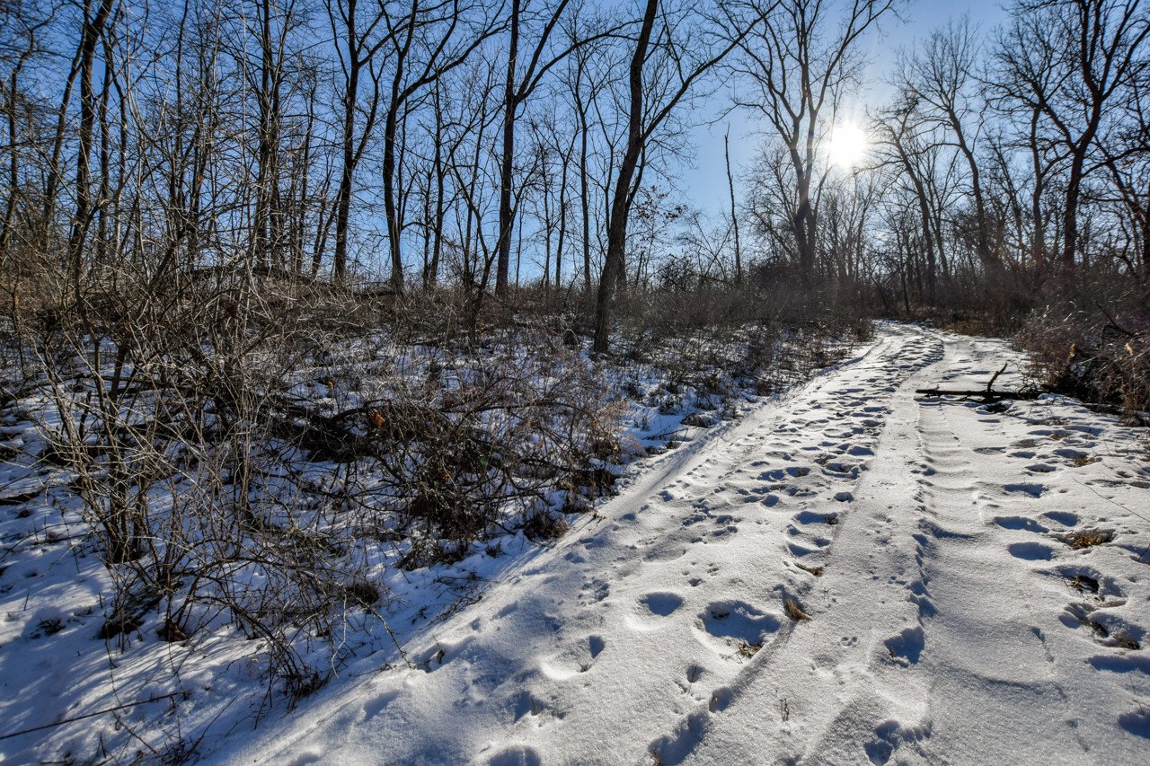 land-lafayette-county-wisconsin-46-acres-listing-number-16050-DSC_0223-2.jpg