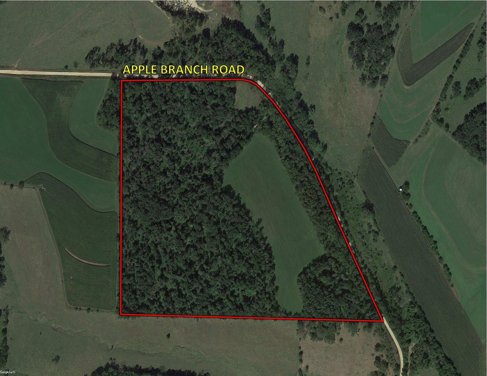 land-lafayette-county-wisconsin-46-acres-listing-number-16050-GCE-0.jpg
