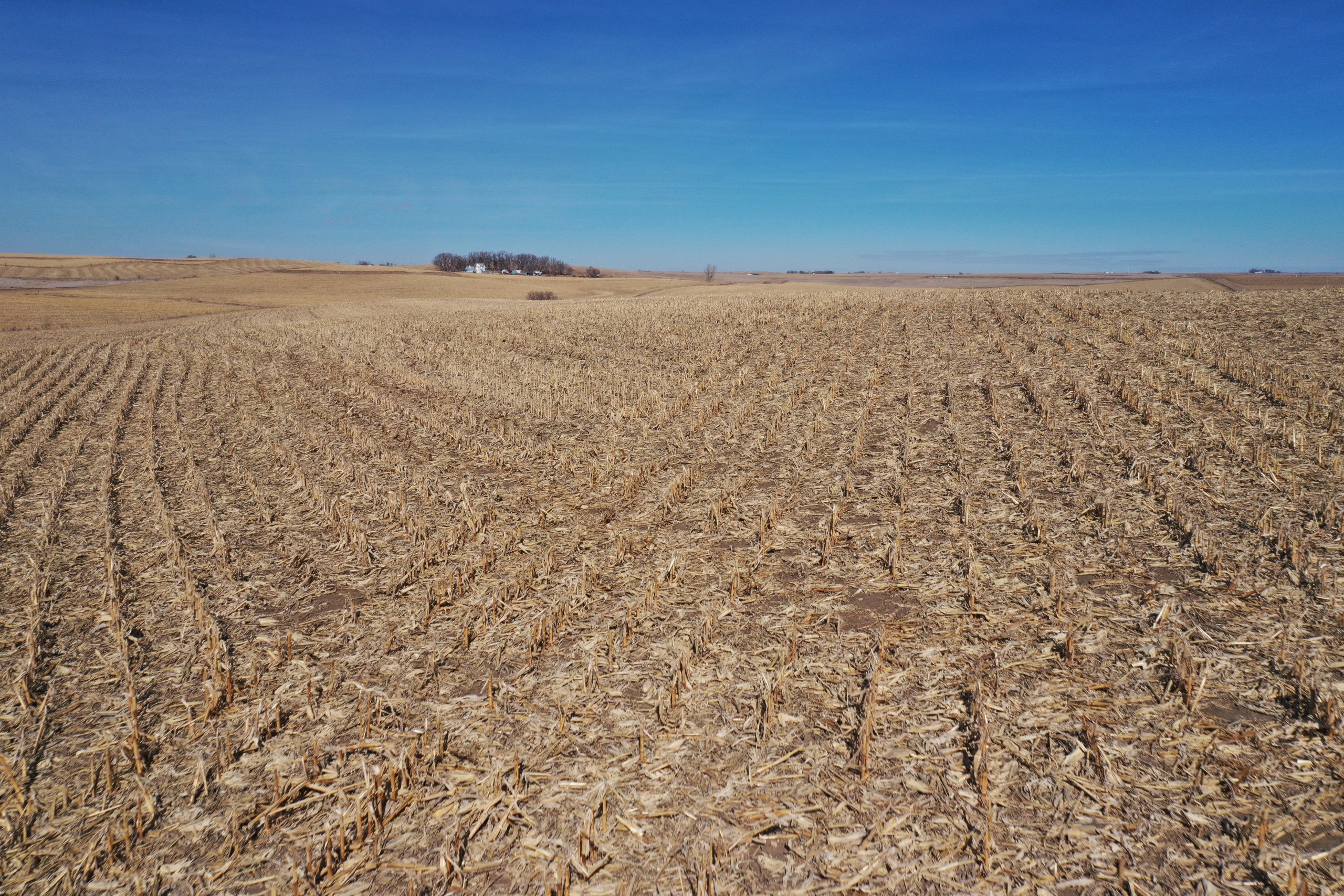 Carroll County Iowa Farmland For Sale