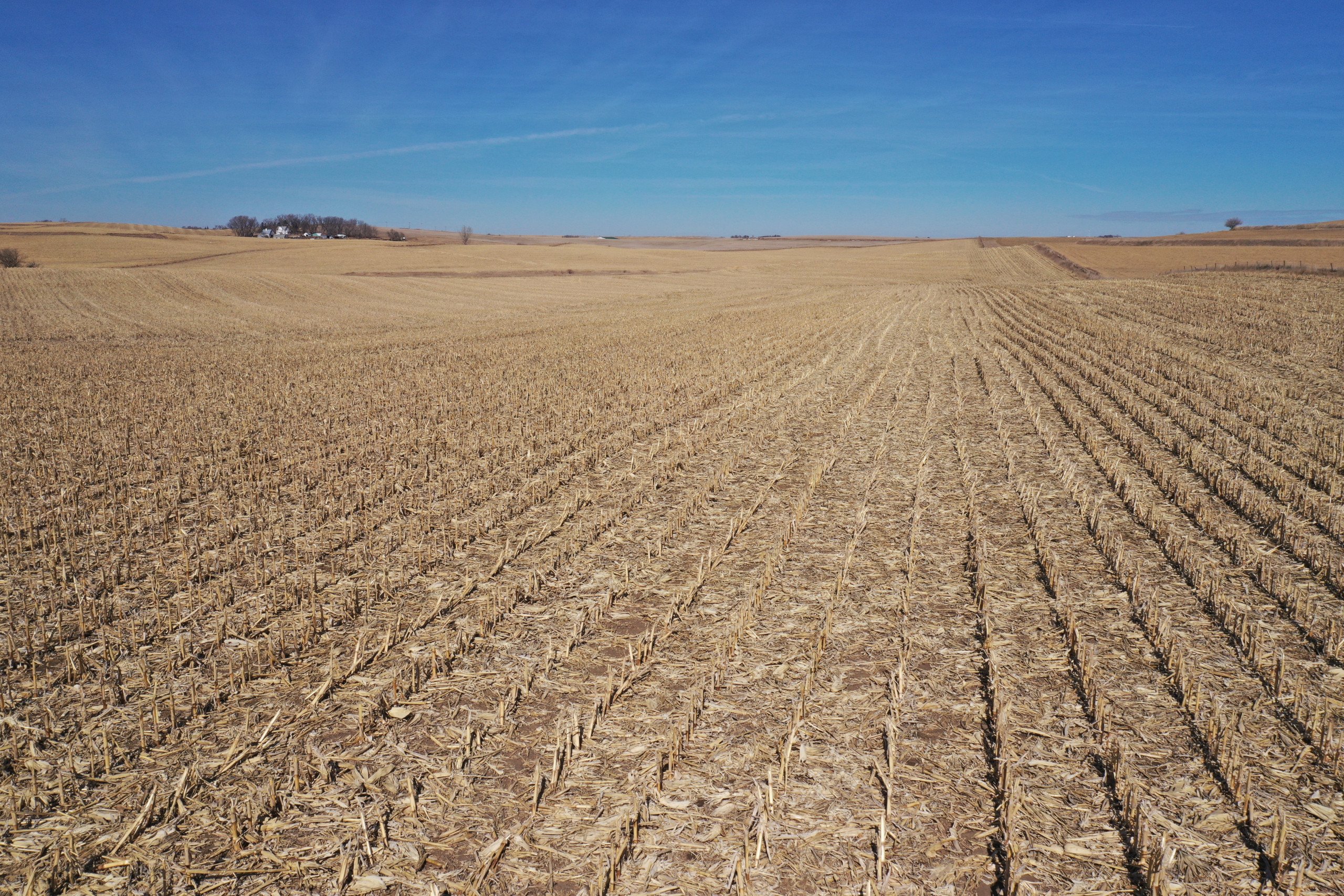 Carroll County Iowa Farmland For Sale