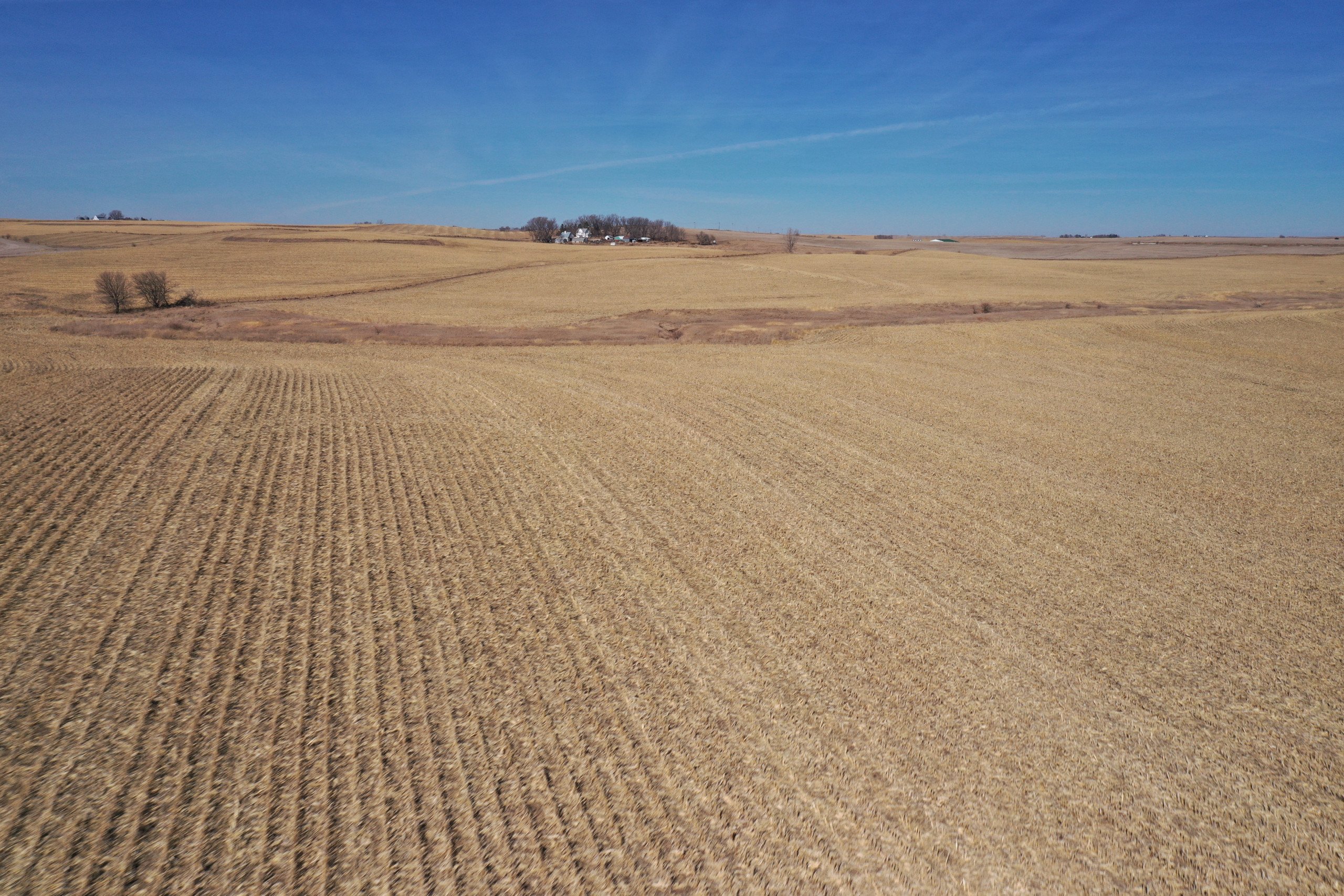 Carroll County Iowa Farmland For Sale