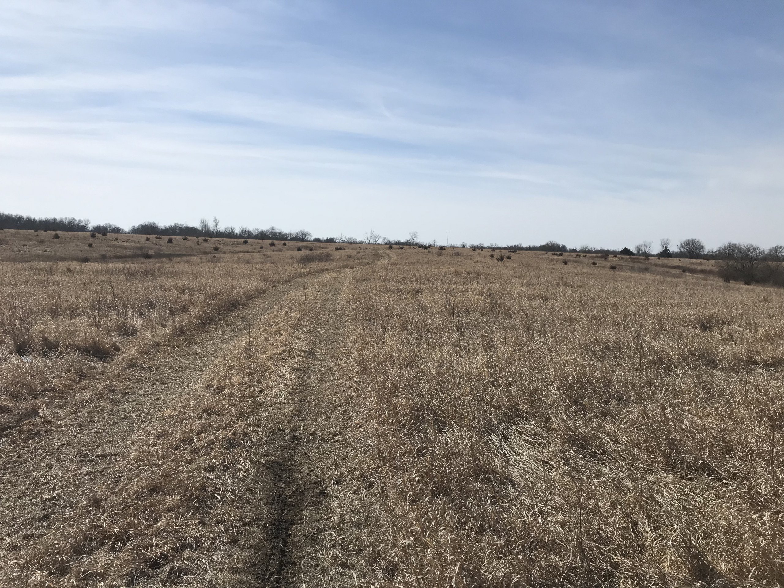 auctions-land-lucas-county-iowa-260-acres-listing-number-16061-IMG_6848-4.jpg