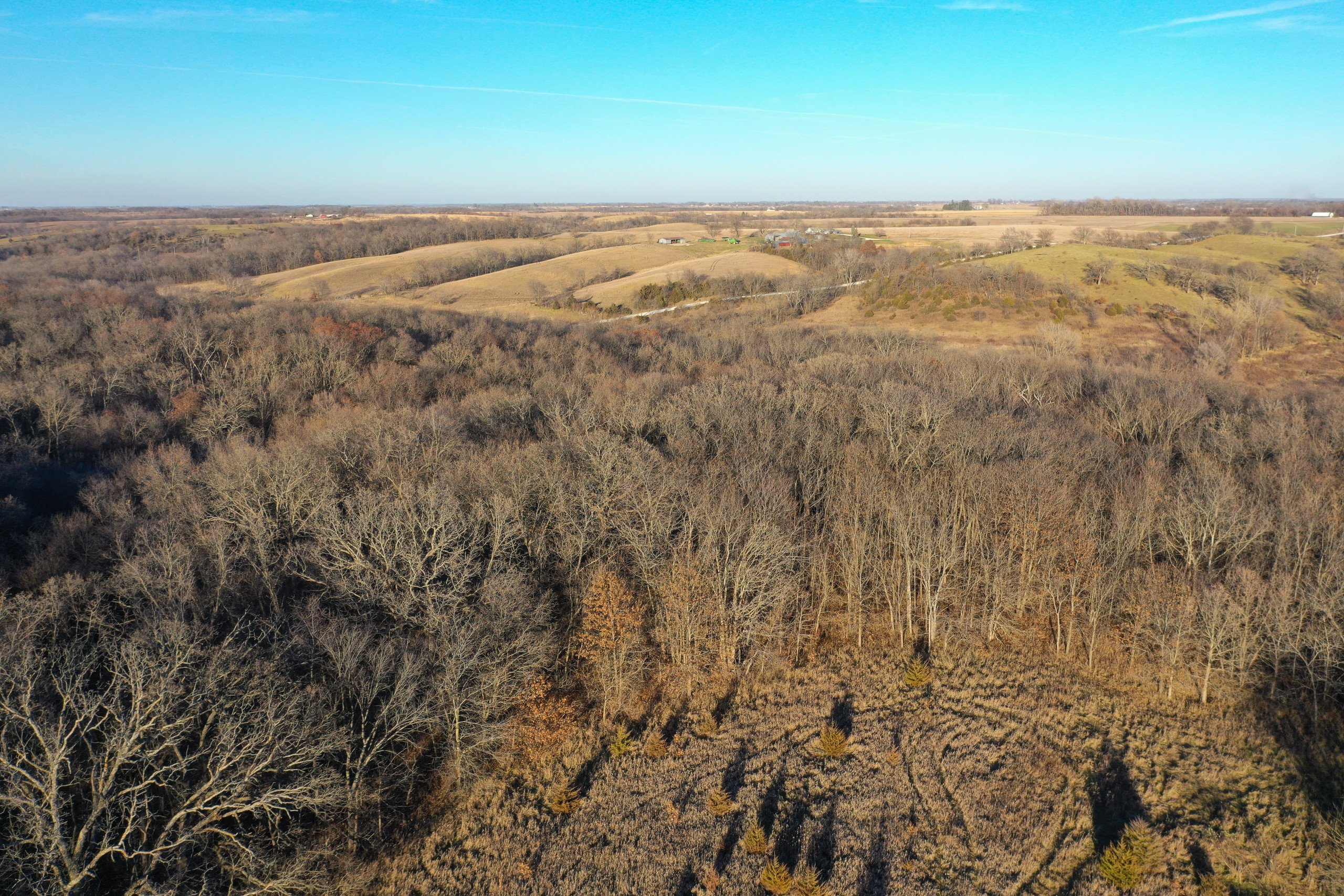auctions-land-lucas-county-iowa-260-acres-listing-number-16061-Peoples_Company_Lucas_County_Auction-11-0.jpg