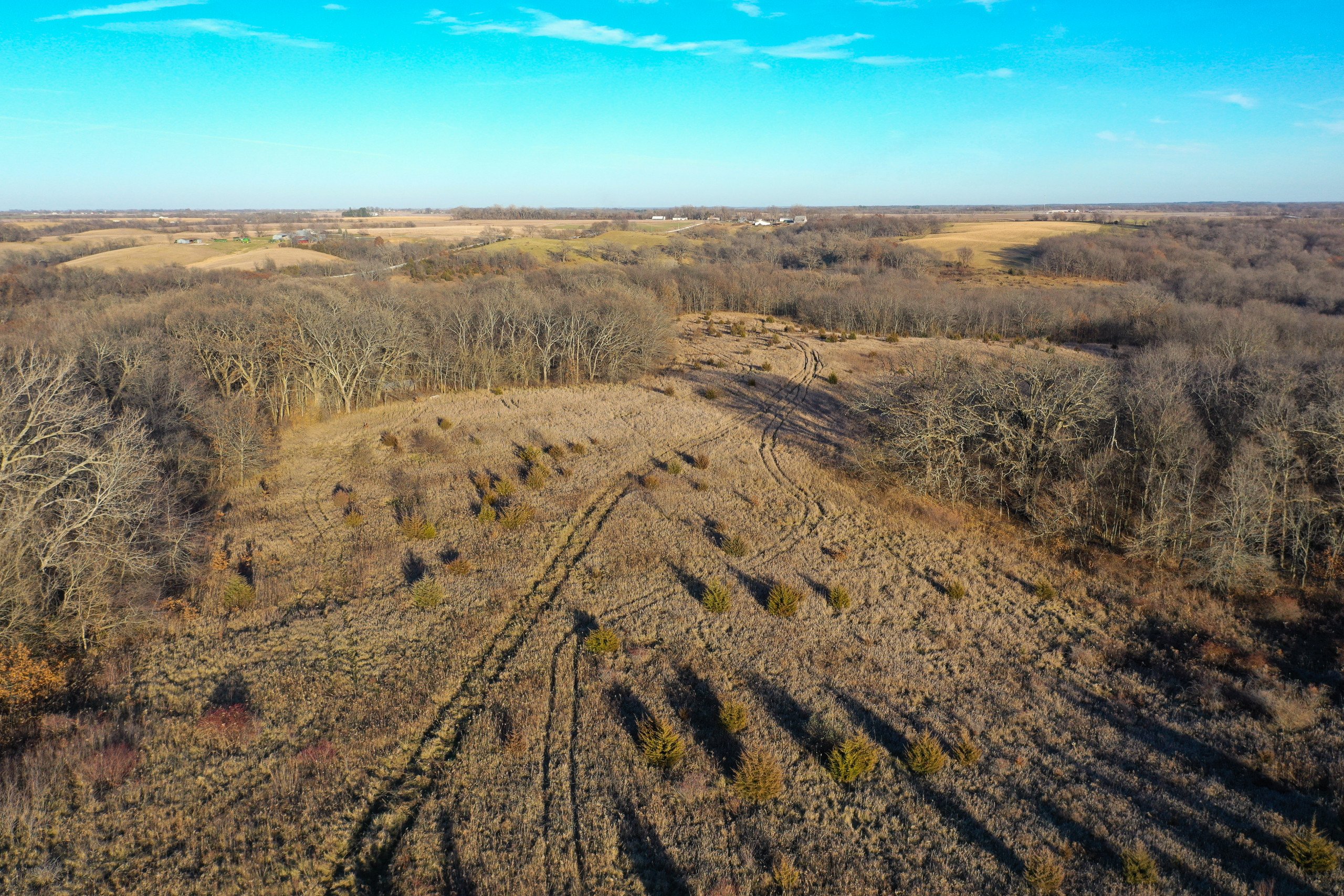 lucas-county-iowa-260-acres-listing-number-16061-Peoples_Company_Lucas_County_Auction-1-0.jpg