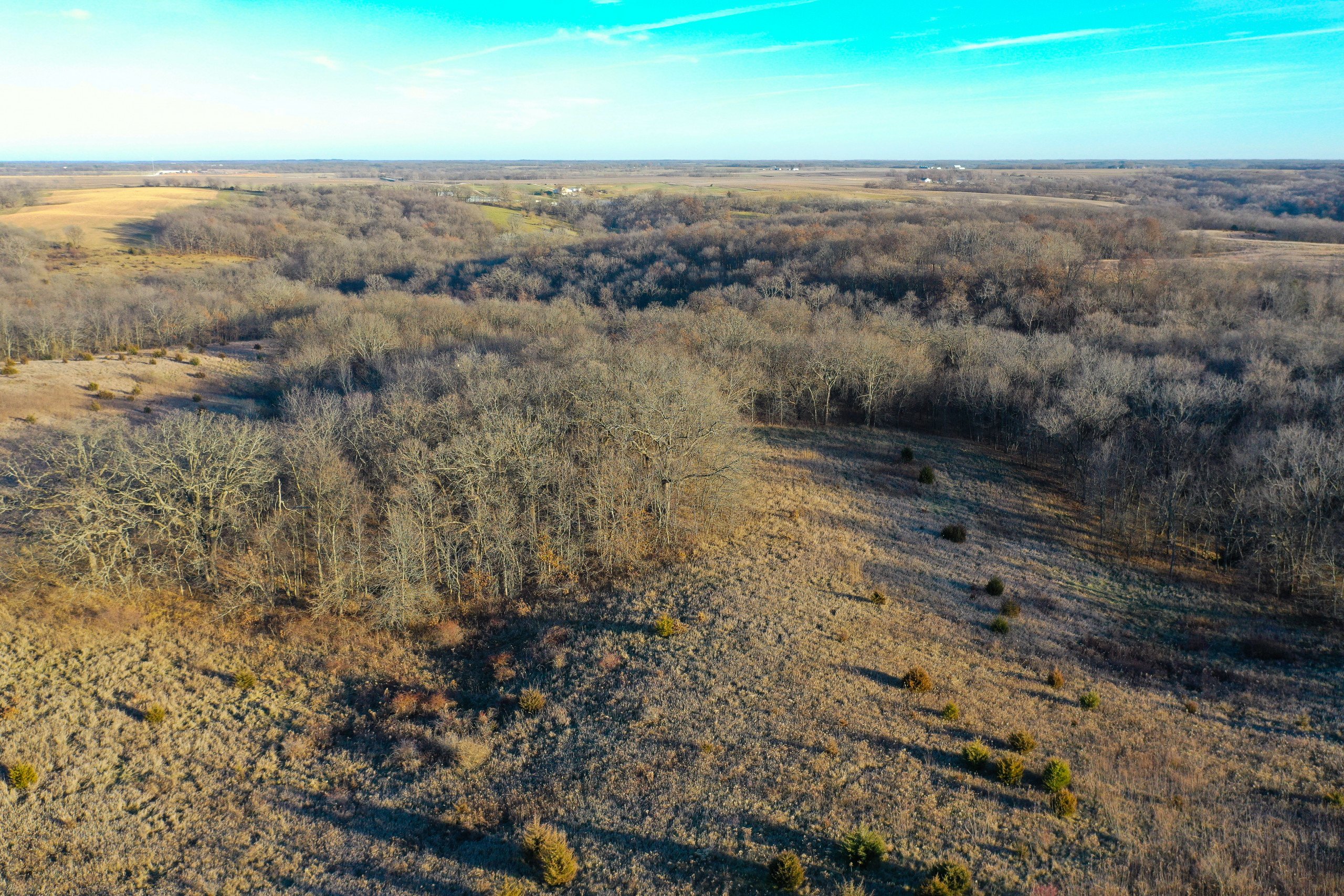 lucas-county-iowa-260-acres-listing-number-16061-Peoples_Company_Lucas_County_Auction-2-1.jpg