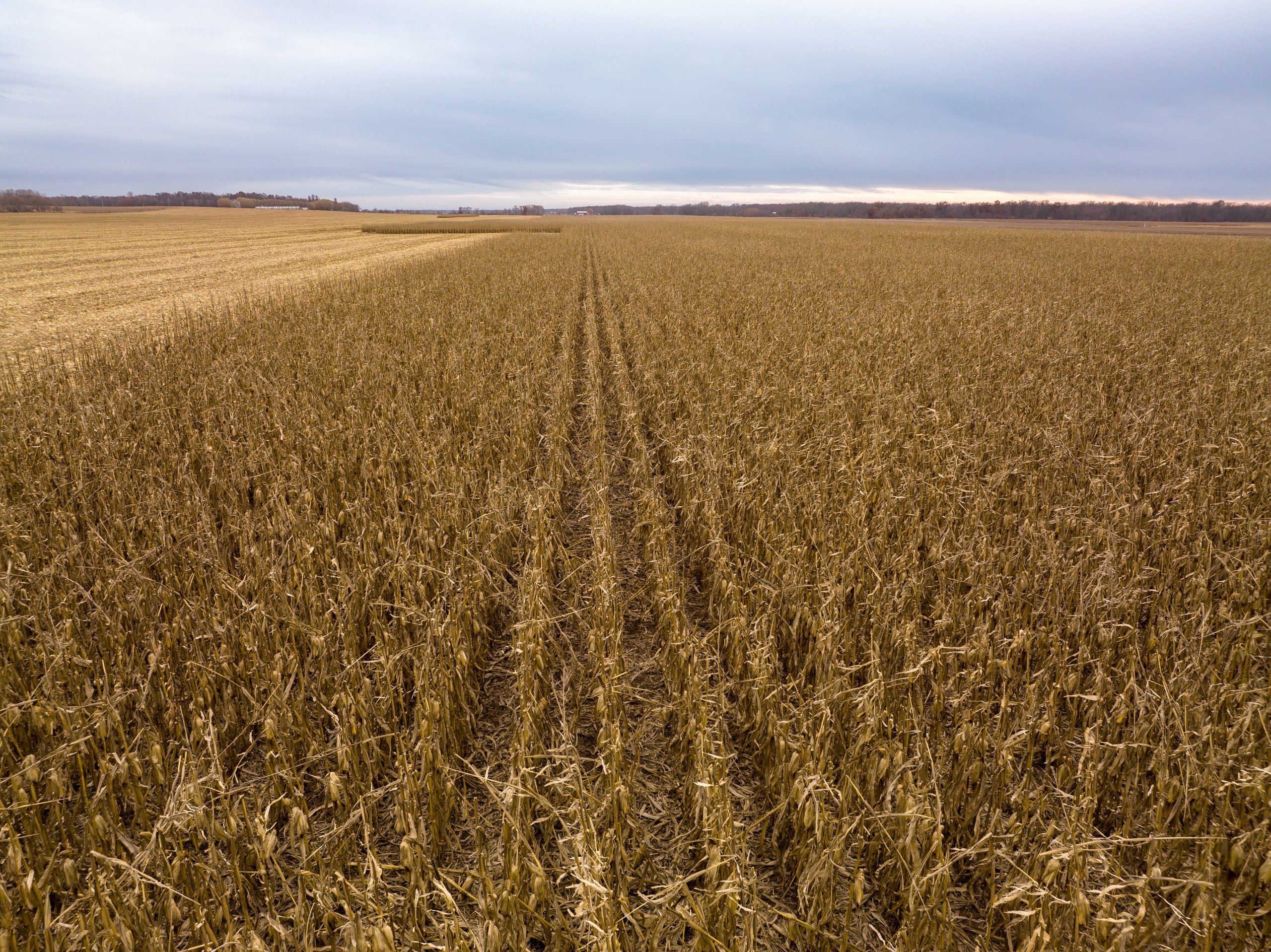 land-chickasaw-county-iowa-234-acres-listing-number-16069-DJI_0035-0.jpg