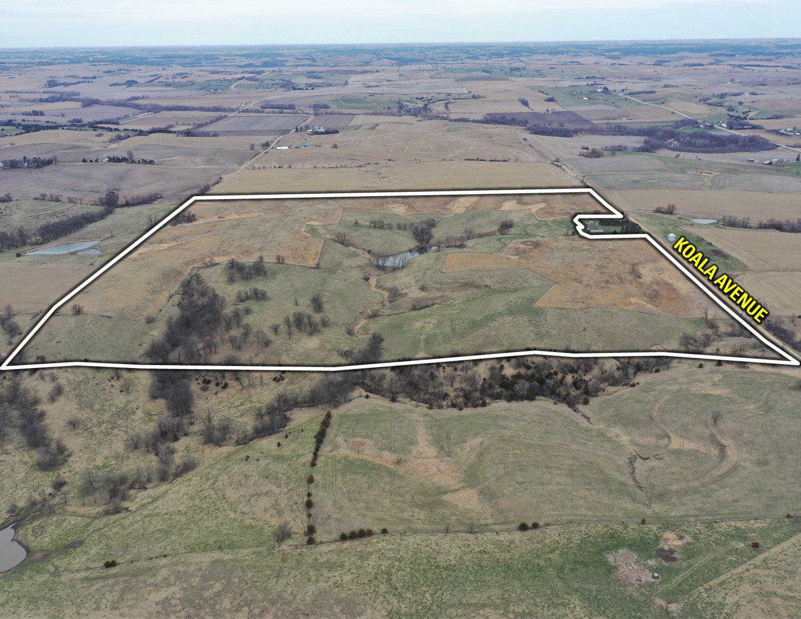 Guthrie County Iowa Farmland For Sale