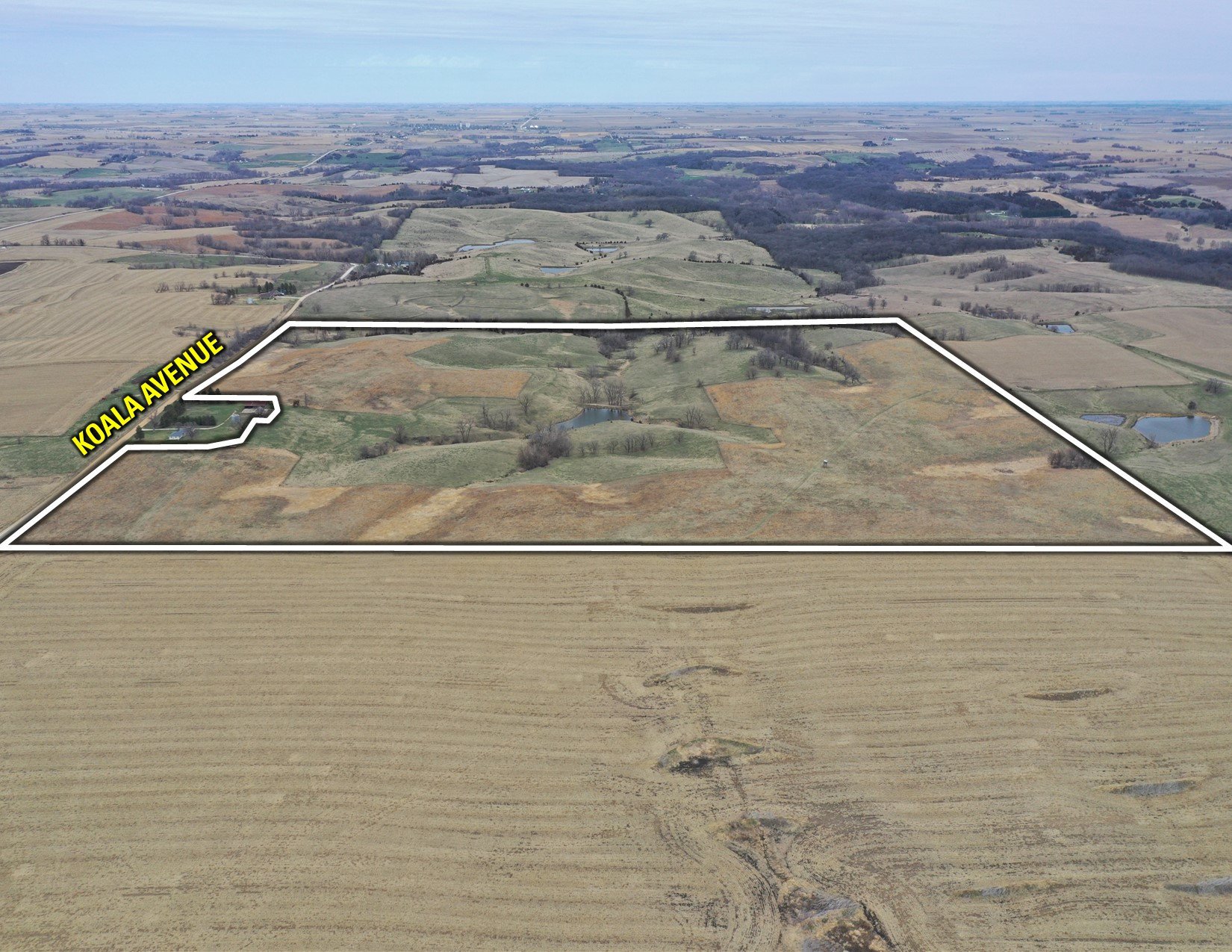 Guthrie County Iowa Farmland For Sale