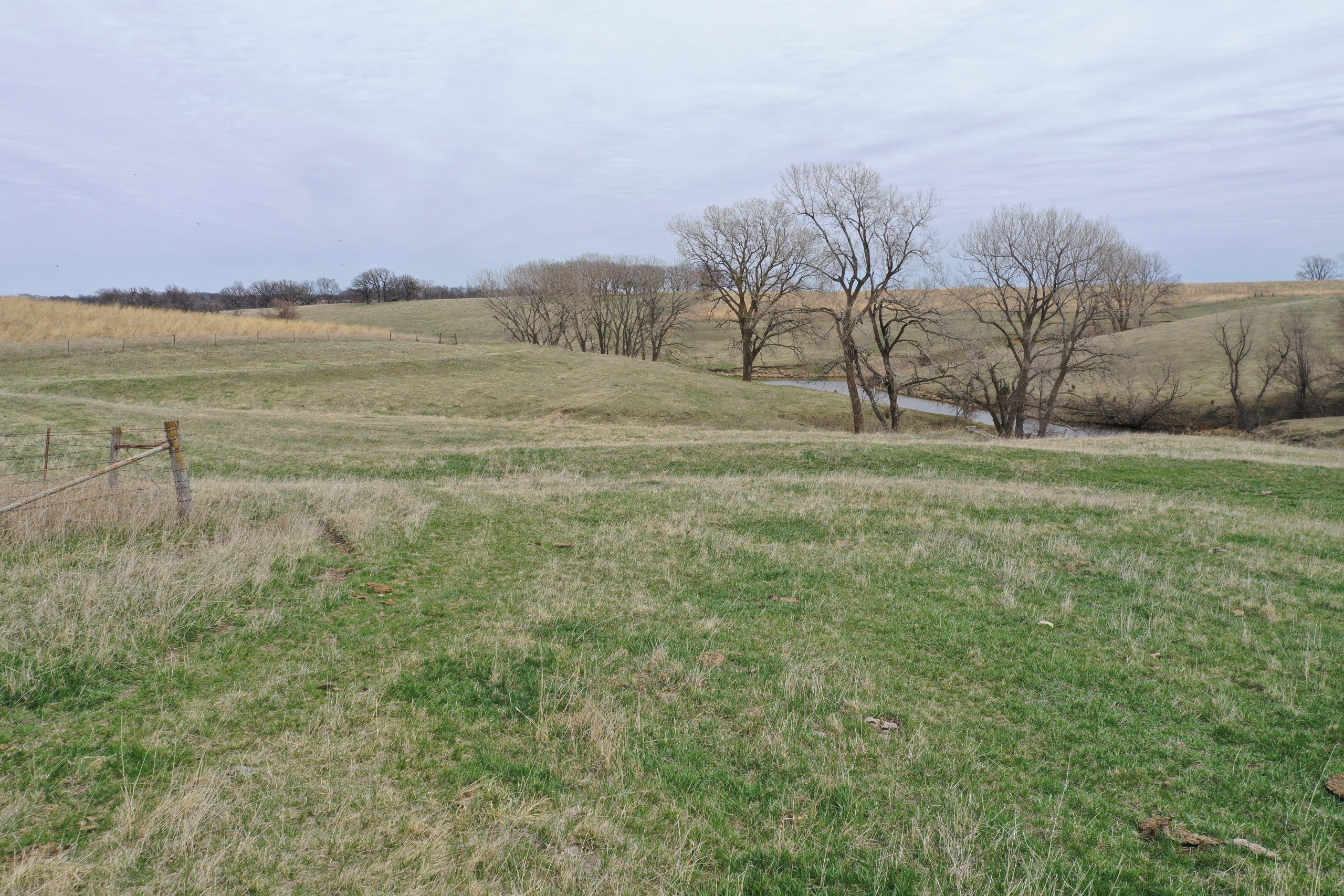 Guthrie County Iowa Farmland For Sale