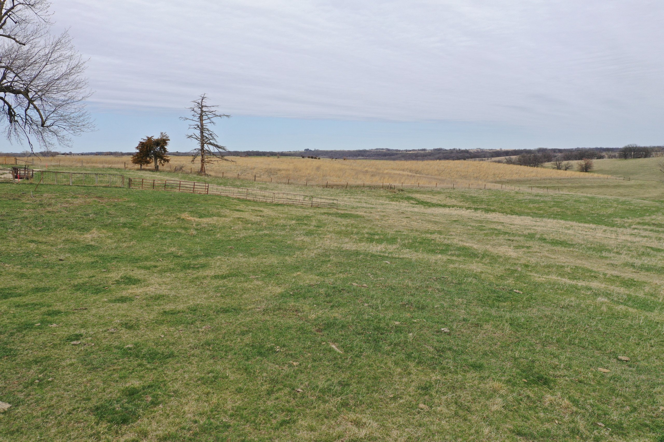 Guthrie County Iowa Farmland For Sale