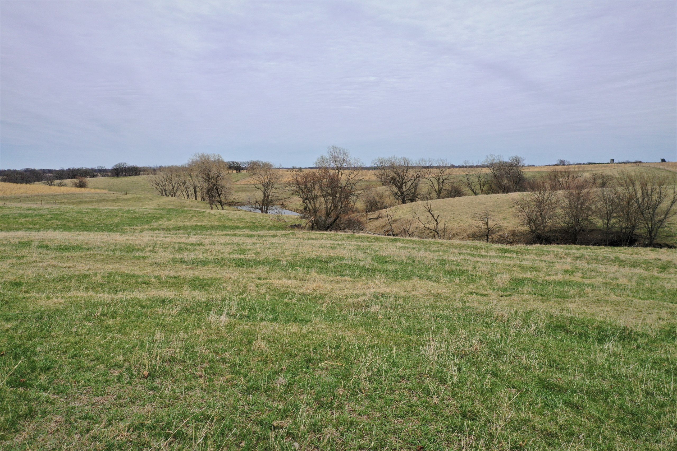 Guthrie County Iowa Farmland For Sale