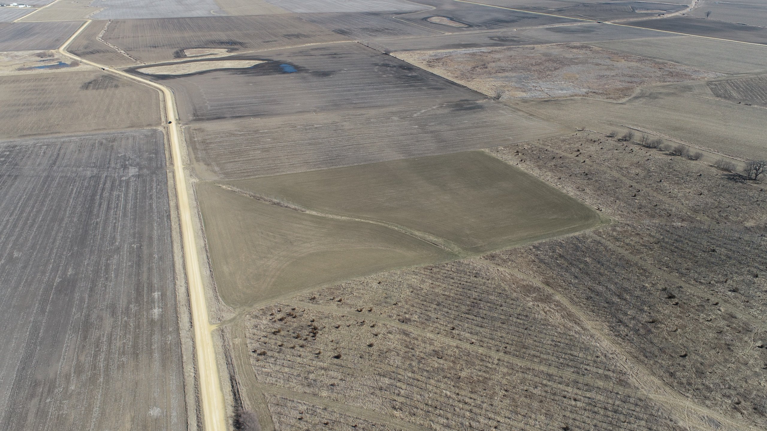 auctions-land-clinton-county-iowa-102-acres-listing-number-16095-DJI_0235-3.jpg