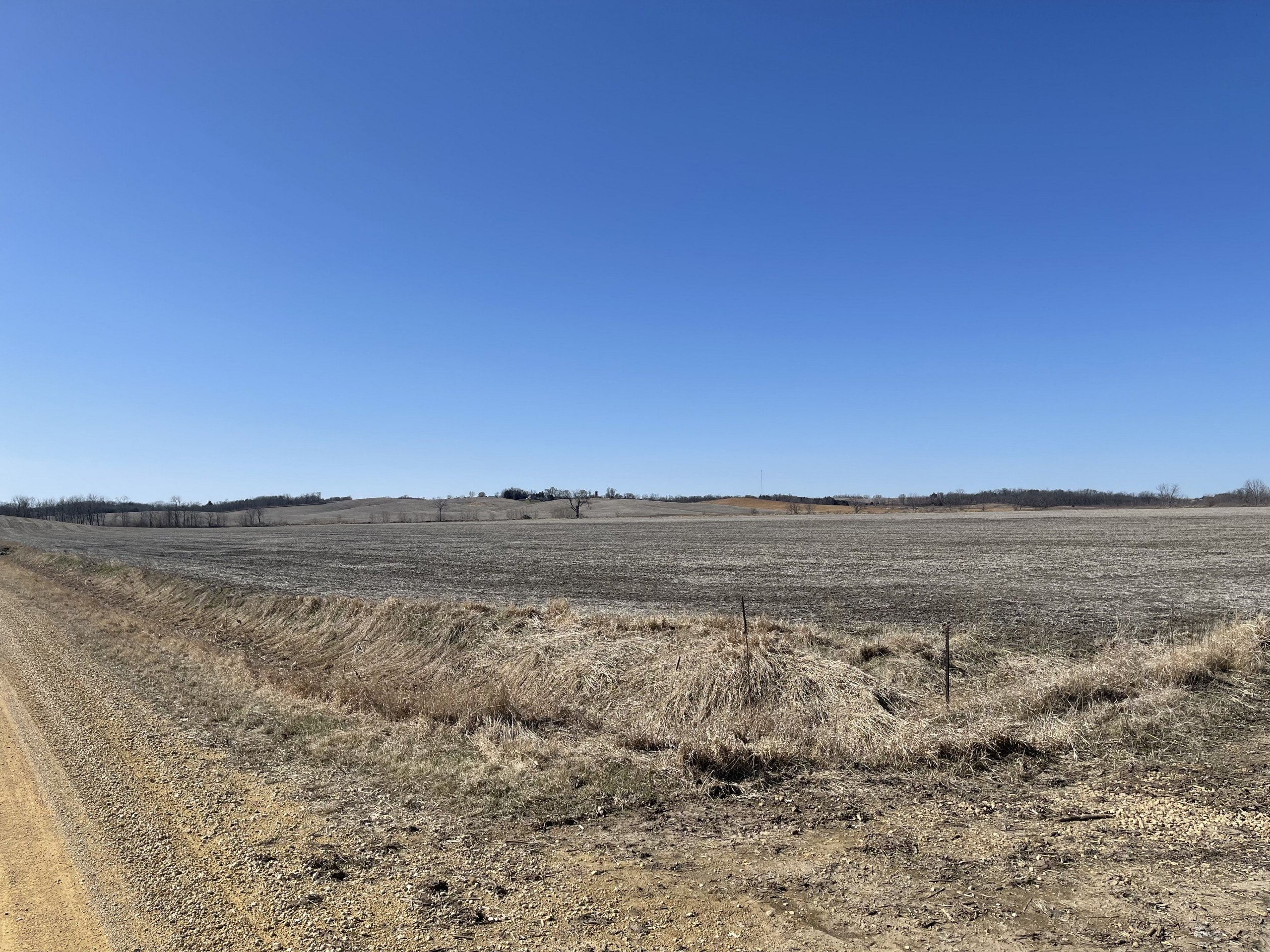 auctions-land-clinton-county-iowa-102-acres-listing-number-16095-IMG_4601 (1)-2.jpg