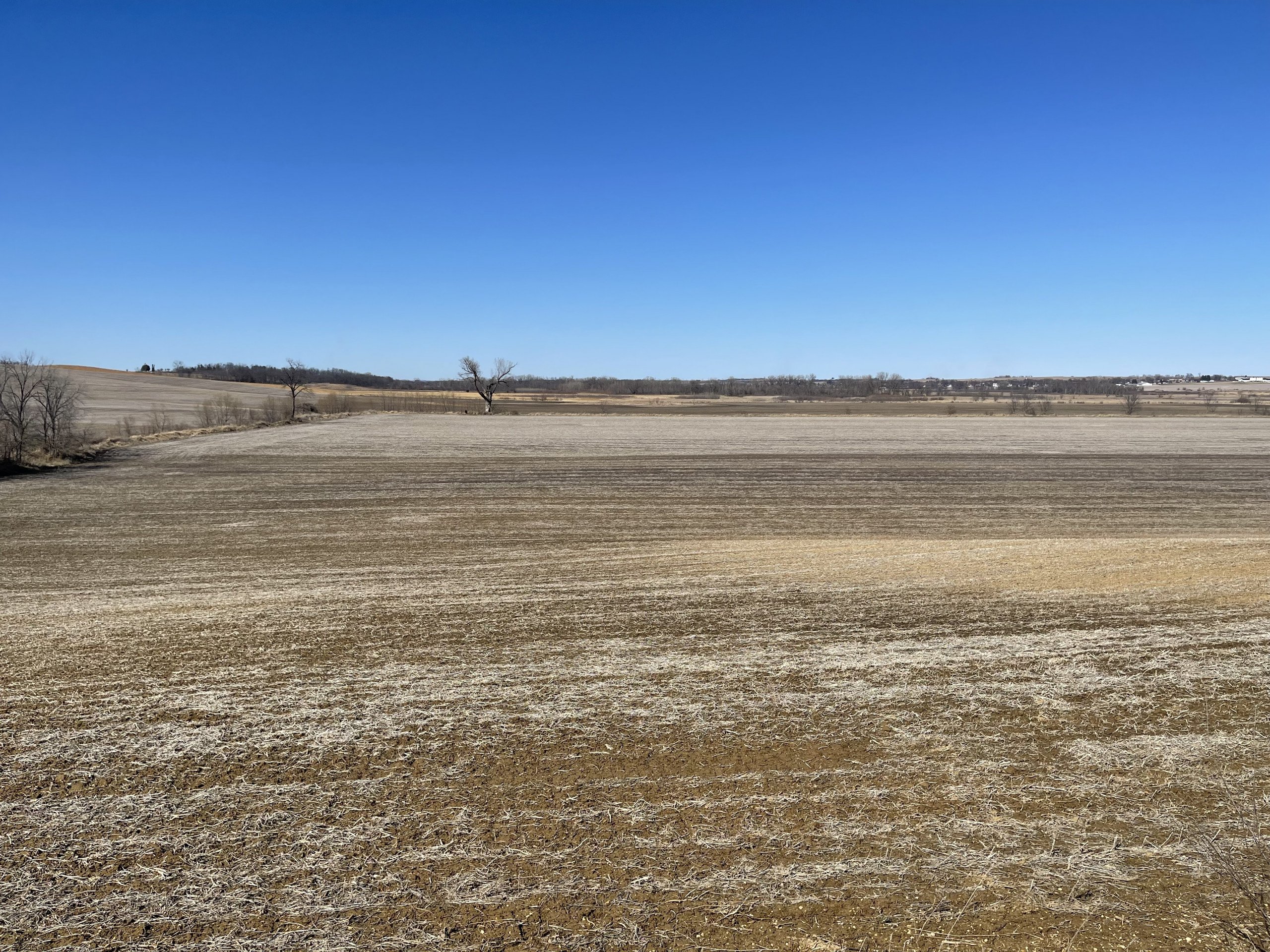auctions-land-clinton-county-iowa-102-acres-listing-number-16095-IMG_4602 (2)-1.jpg