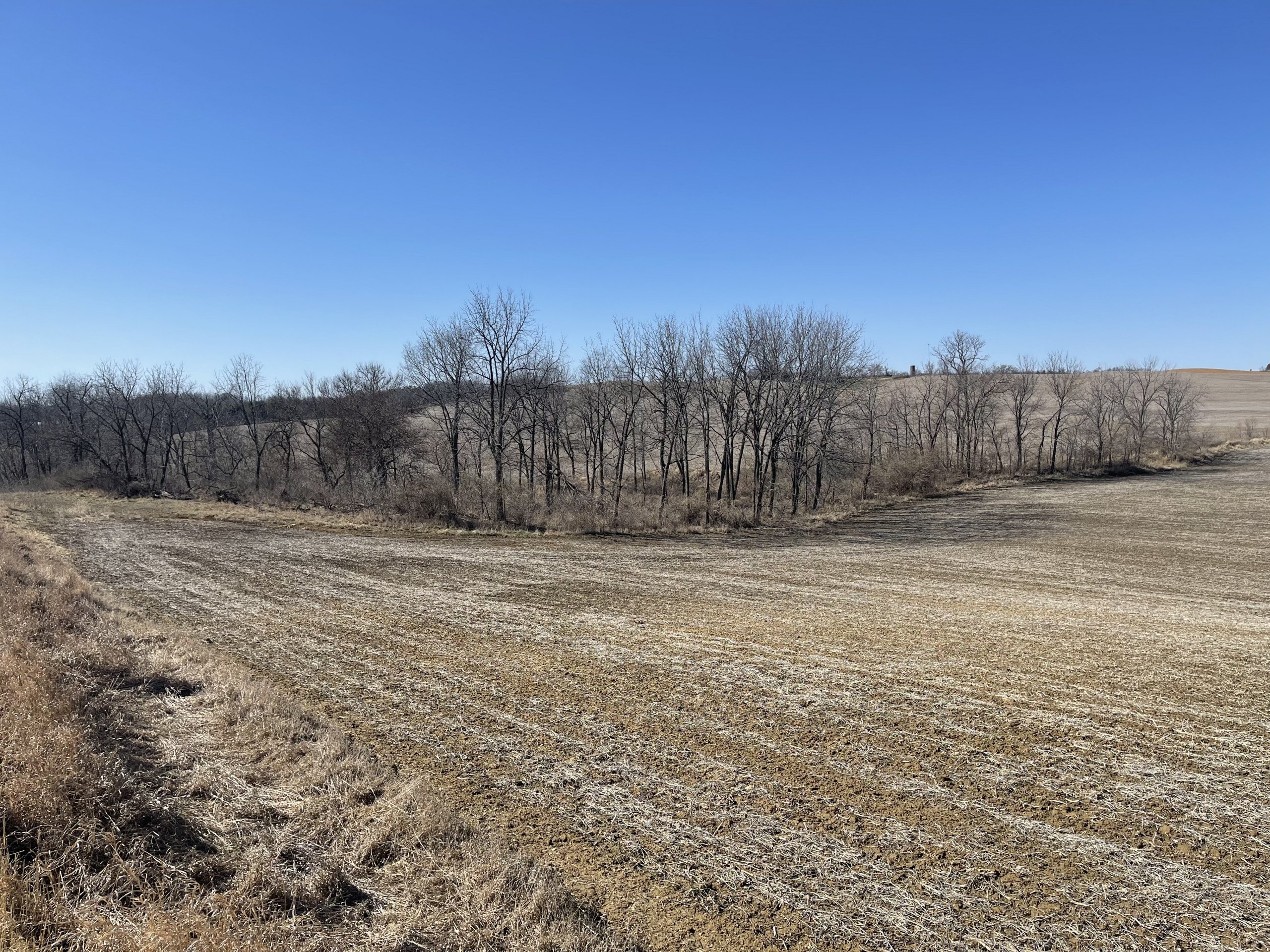 auctions-land-clinton-county-iowa-102-acres-listing-number-16095-IMG_4604 (1)-3.jpg
