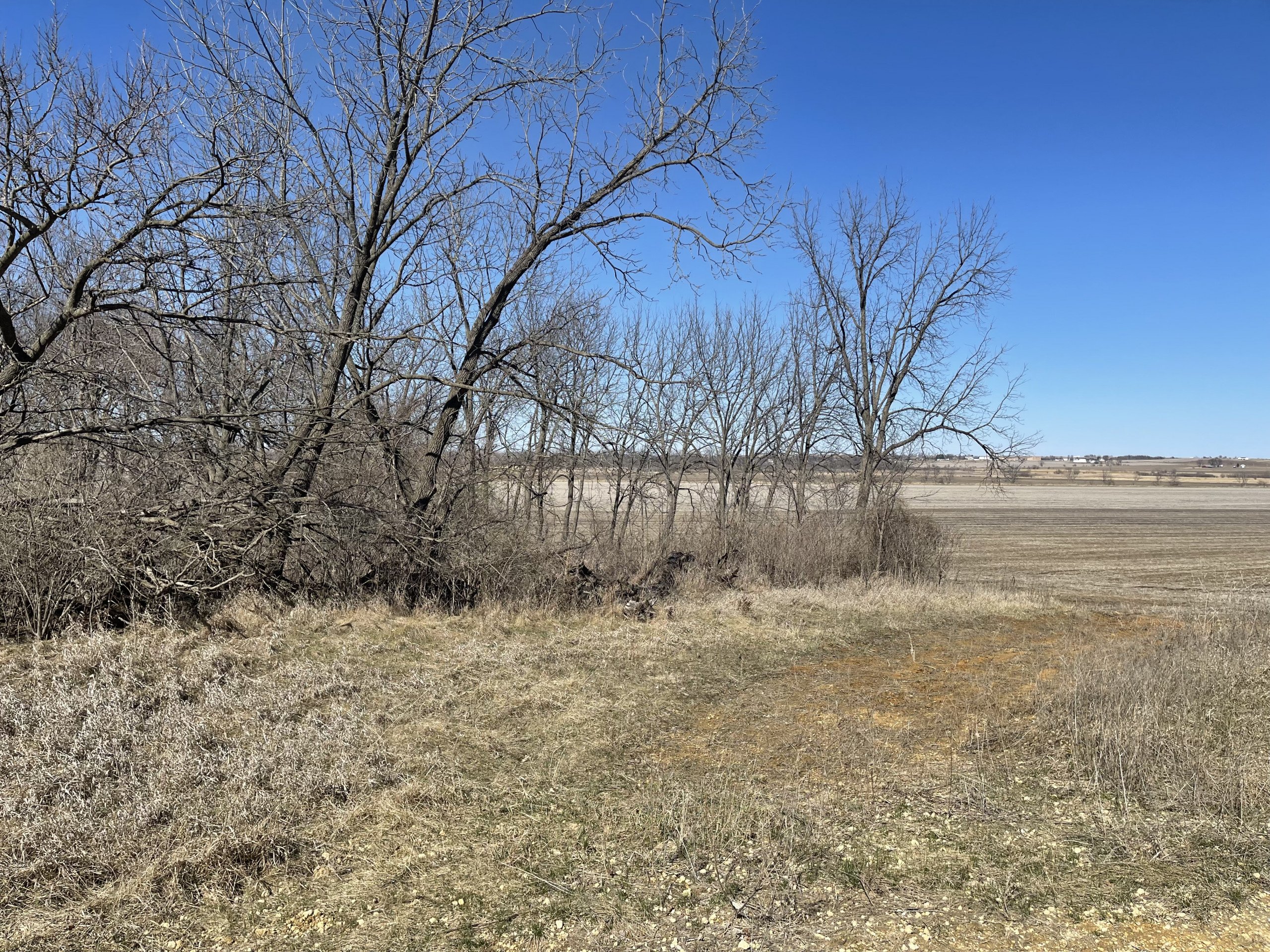 auctions-land-clinton-county-iowa-102-acres-listing-number-16095-IMG_4605 (1)-4.jpg