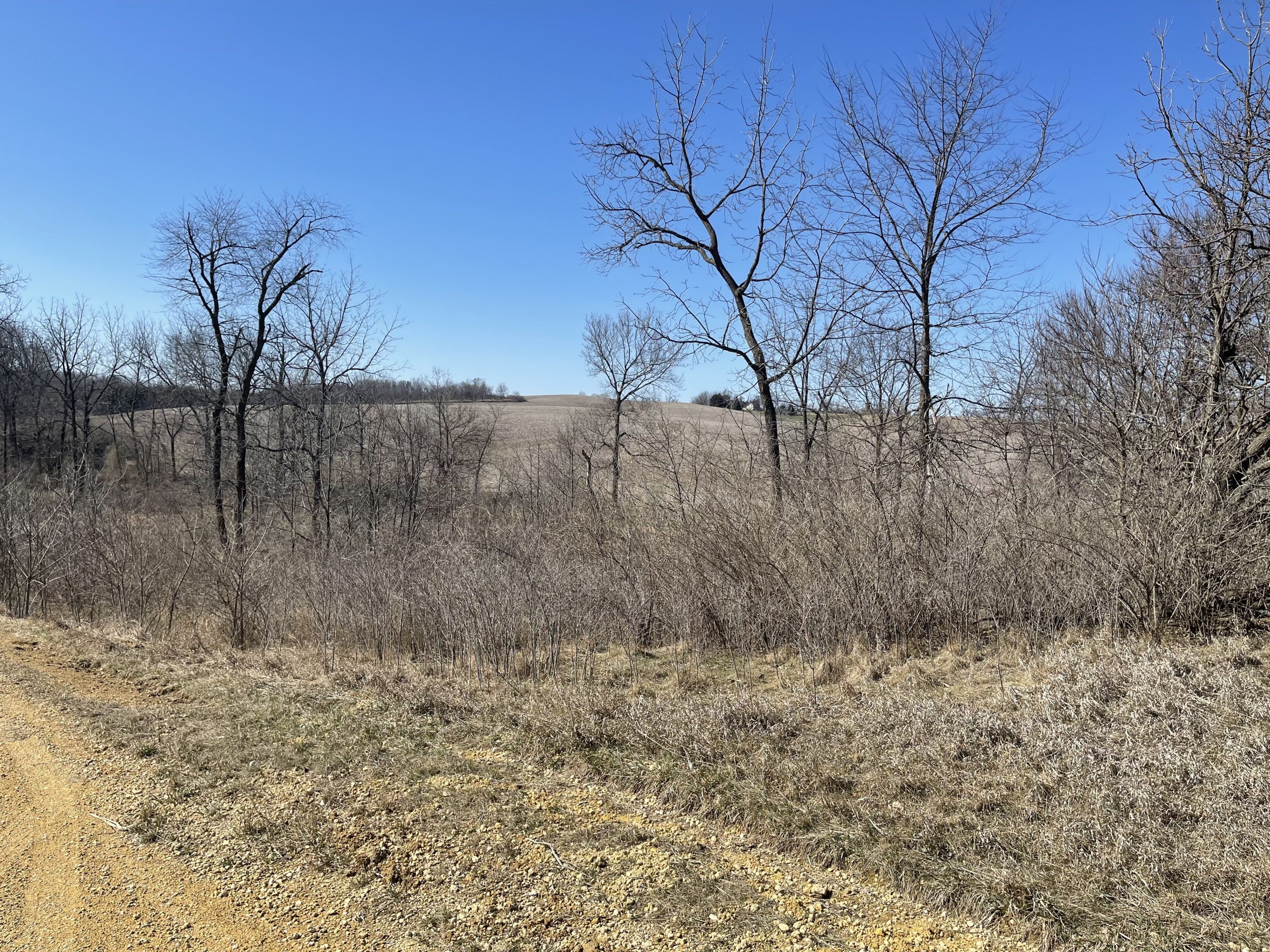 auctions-land-clinton-county-iowa-102-acres-listing-number-16095-IMG_4606 (1)-5.jpg