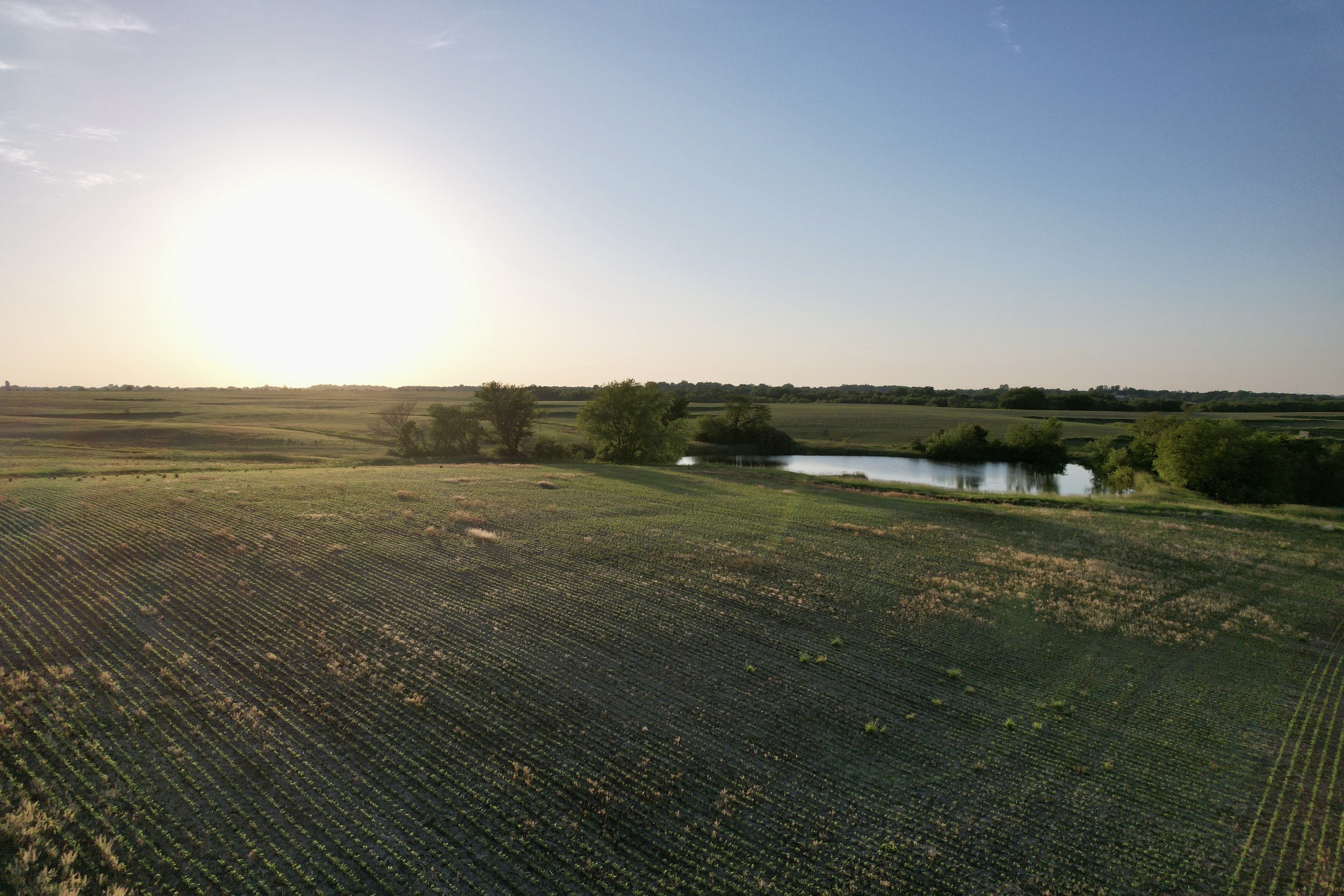 land-warren-county-iowa-13-acres-listing-number-16100-DJI_0788-3.jpg