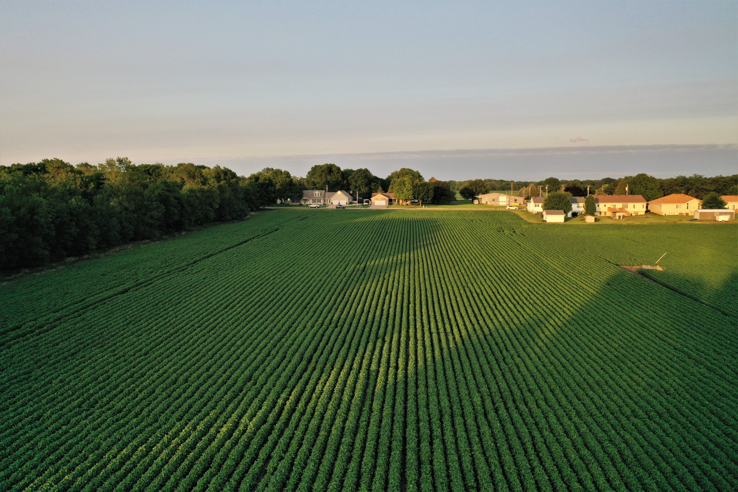 development-land-webster-county-iowa-45-acres-listing-number-16105-Ground 5-4.jpg