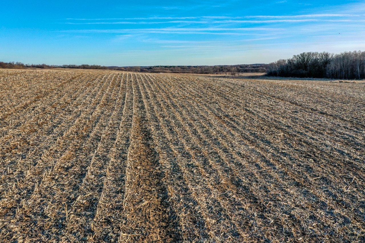 land-rock-county-wisconsin-116-acres-listing-number-16125-DJI_0769-8.jpg