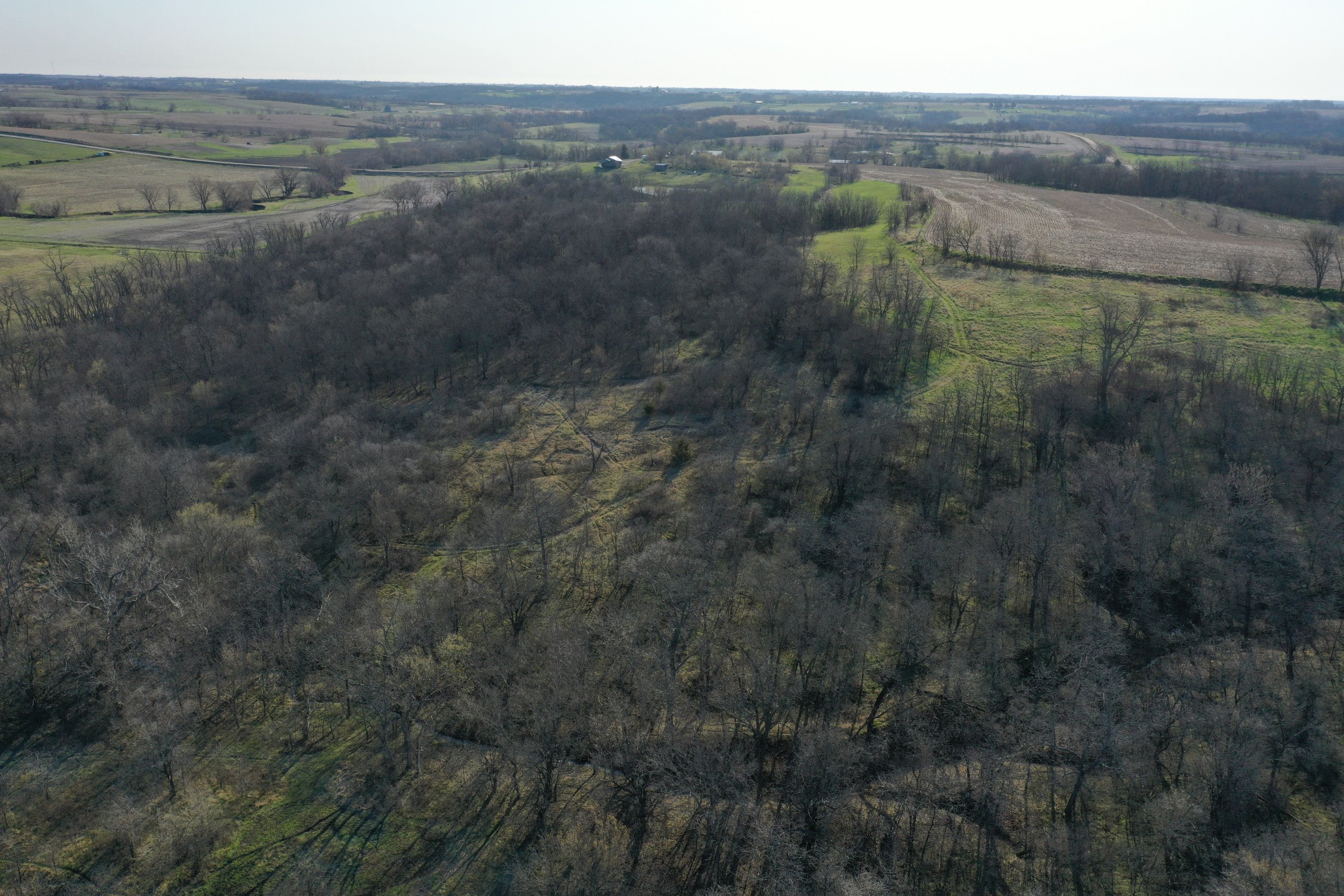 Marion County Land For Sale