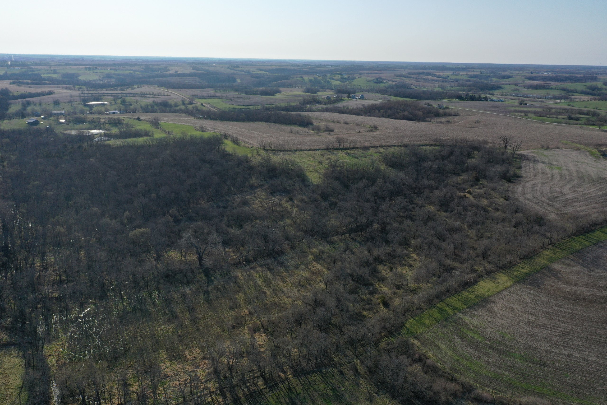 Marion County Land For Sale