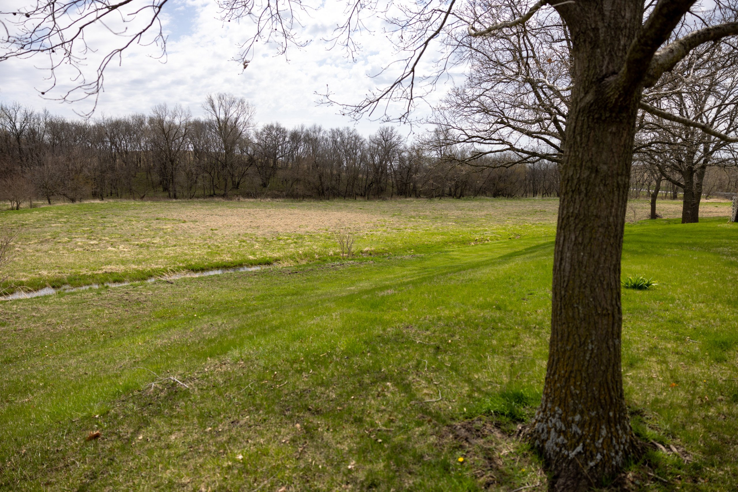 residential-land-clarke-county-iowa-40-acres-listing-number-16152-0M4A7211-2.jpg