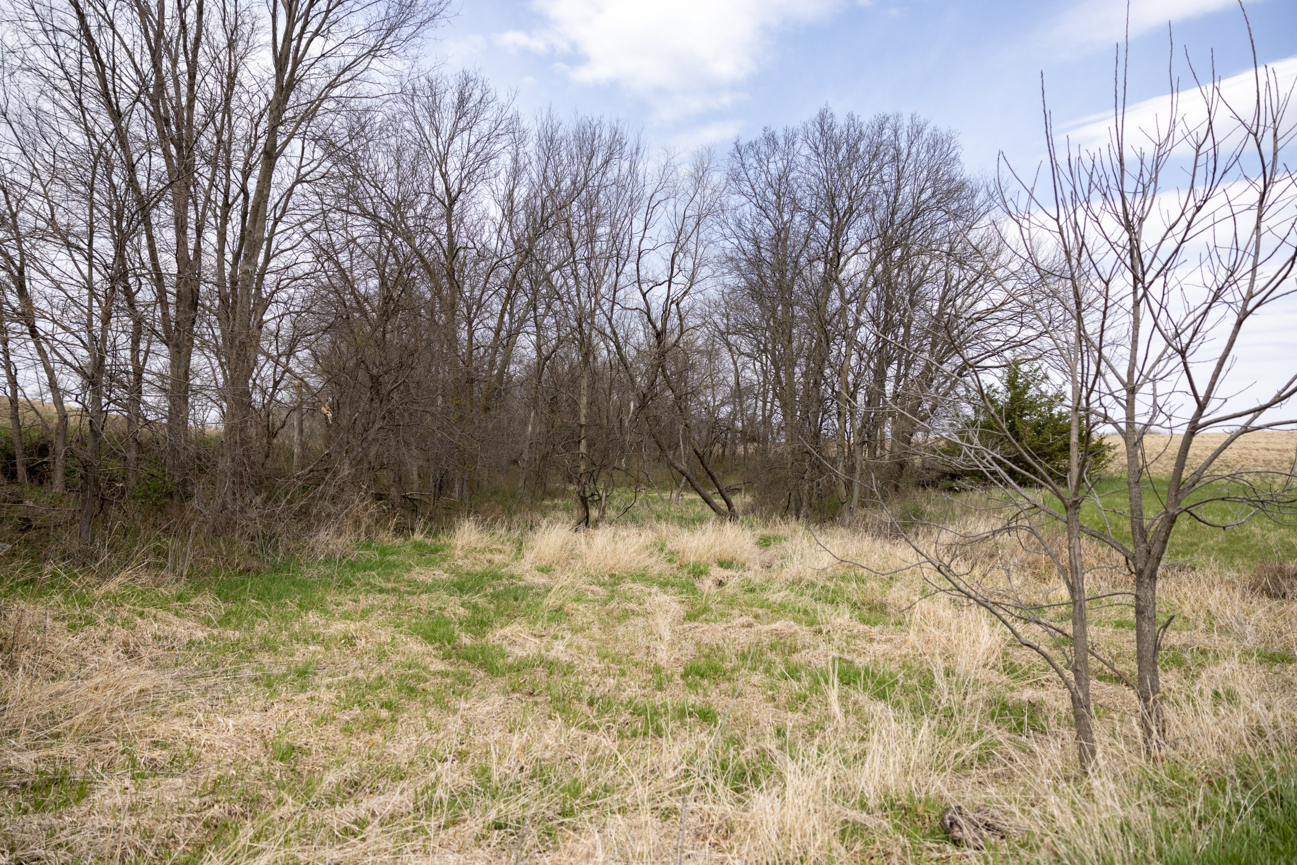 residential-land-clarke-county-iowa-40-acres-listing-number-16152-0M4A7213-3.jpg