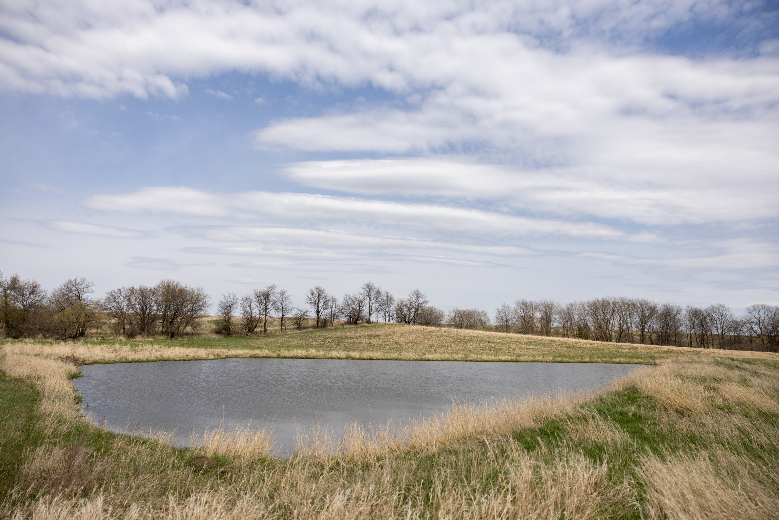residential-land-clarke-county-iowa-40-acres-listing-number-16152-0M4A7218-4.jpg